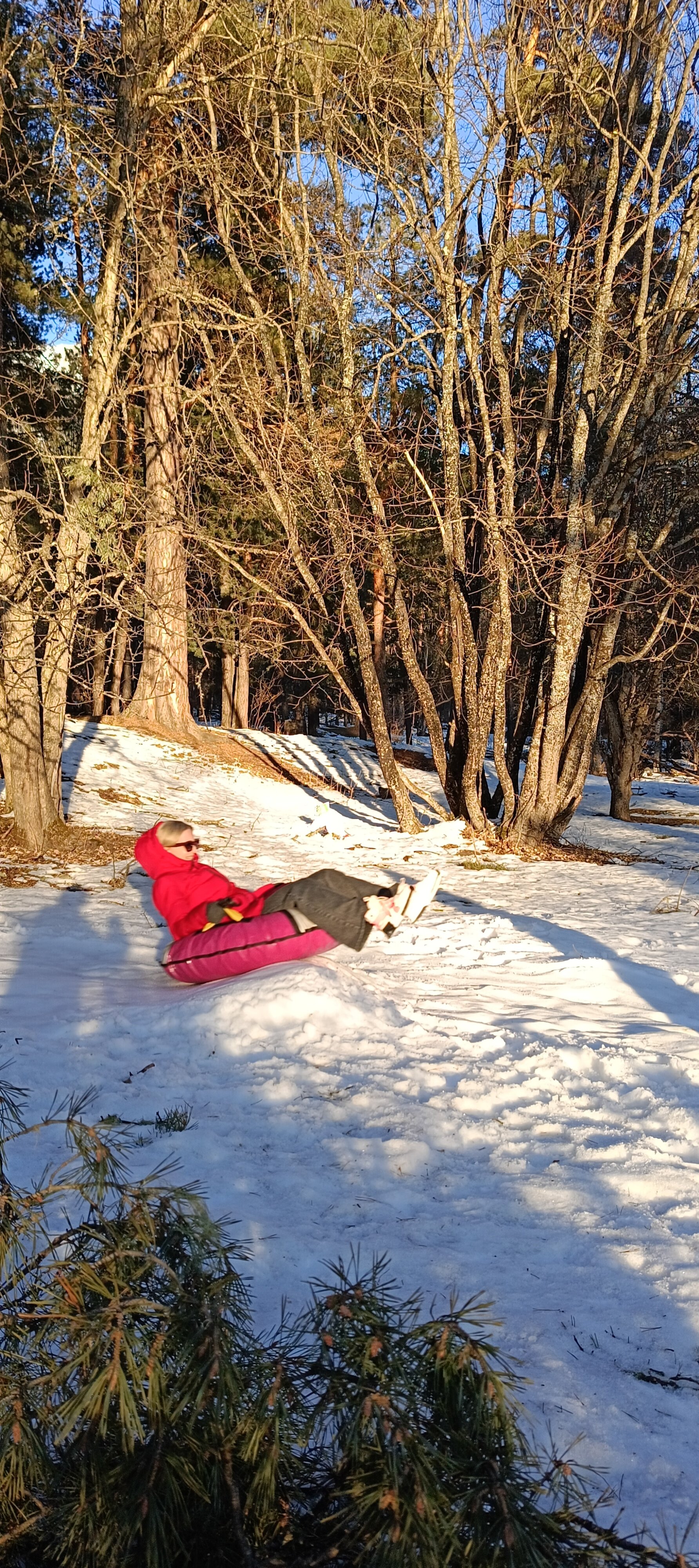 Фото Paradise Forest