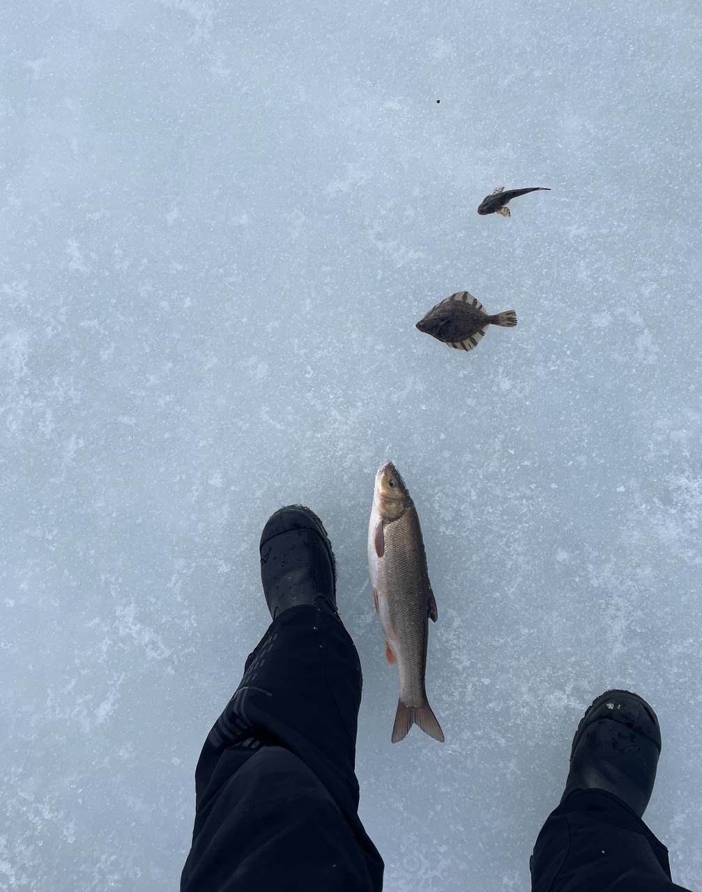Фото Туристическая деревня Ларга