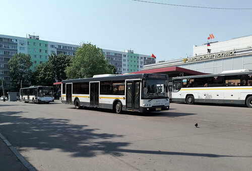 Ұйықтап жатқан анамен жыныстық қатынас