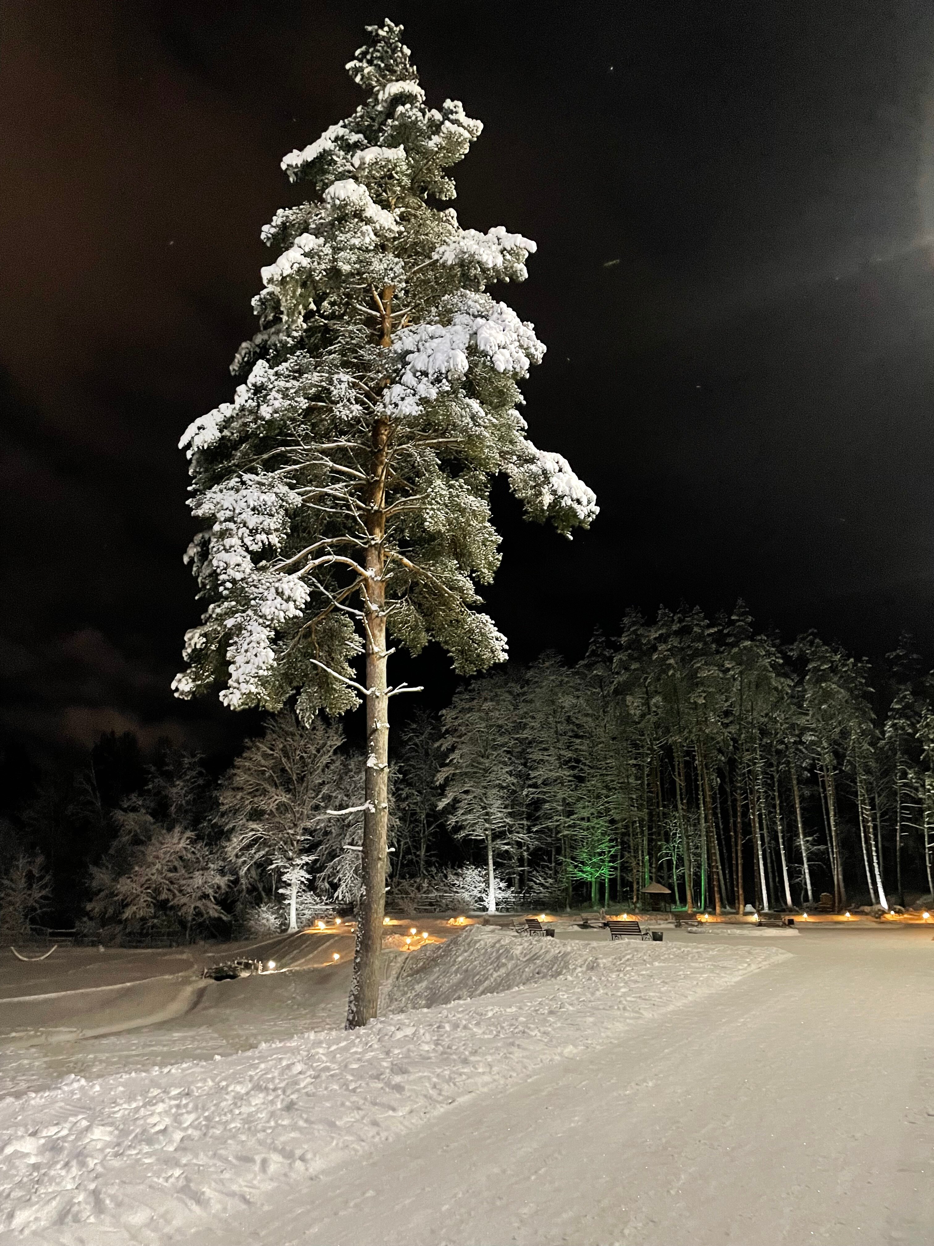 Фото Green Force