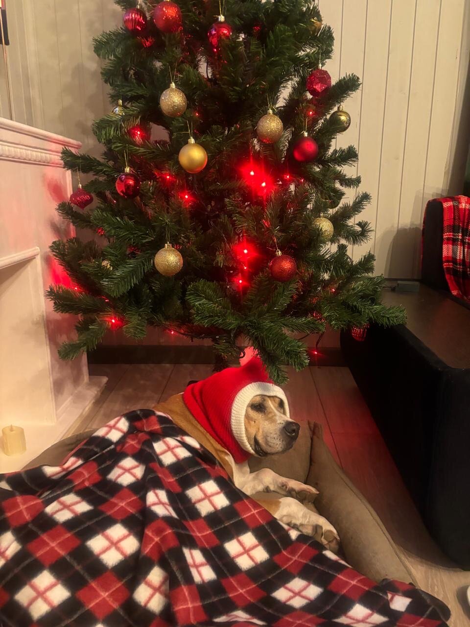 Фото Вилла Гармония