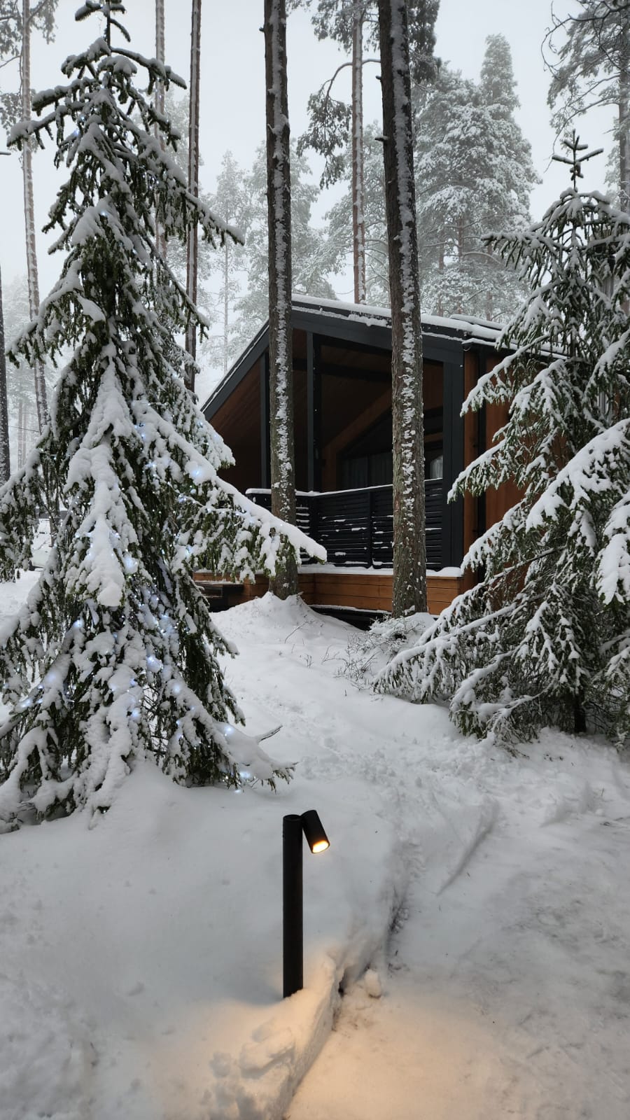 Фото Land Breeze