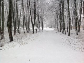 Фото Дачная Резиденция