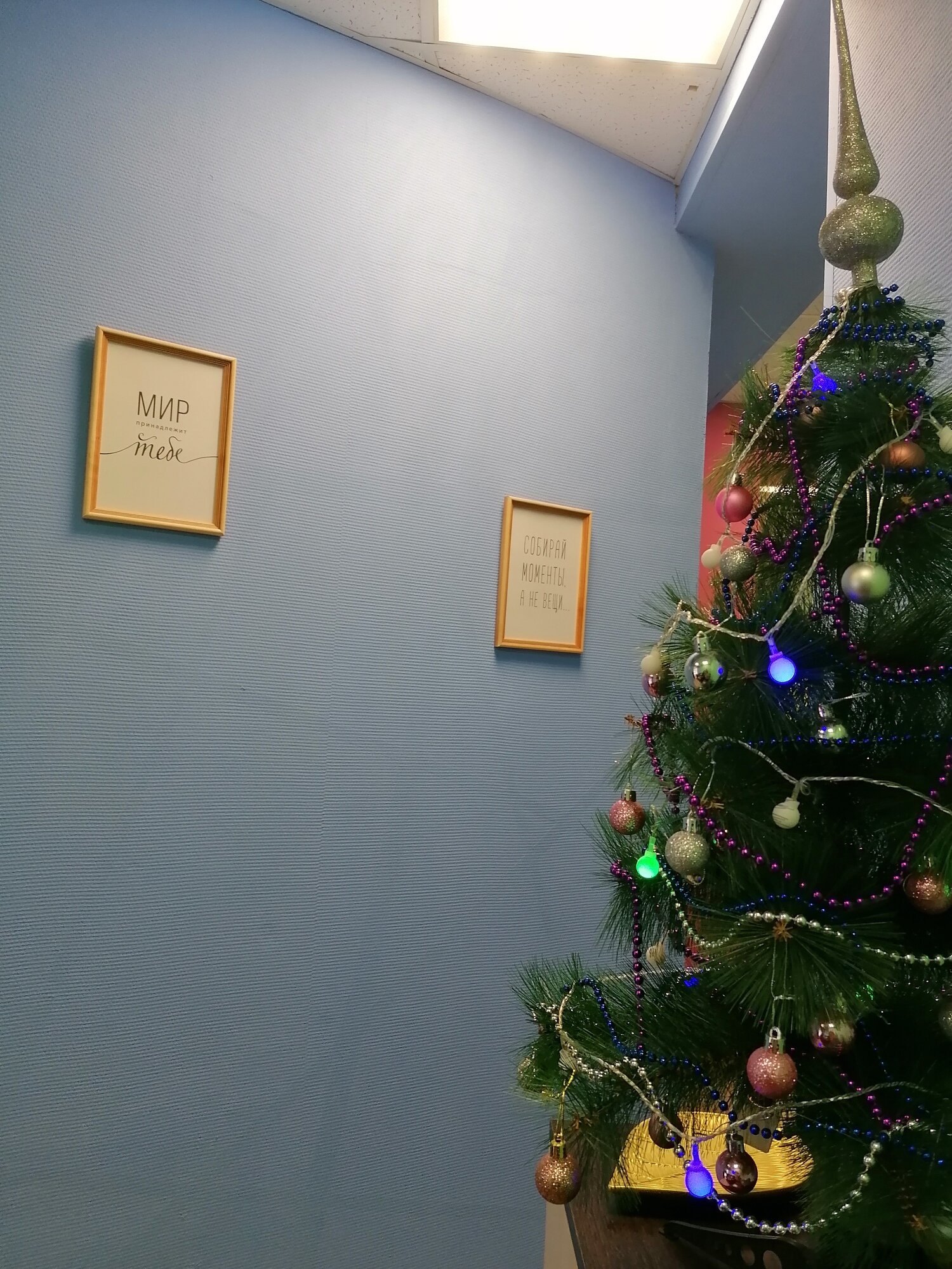 Фото Радуга