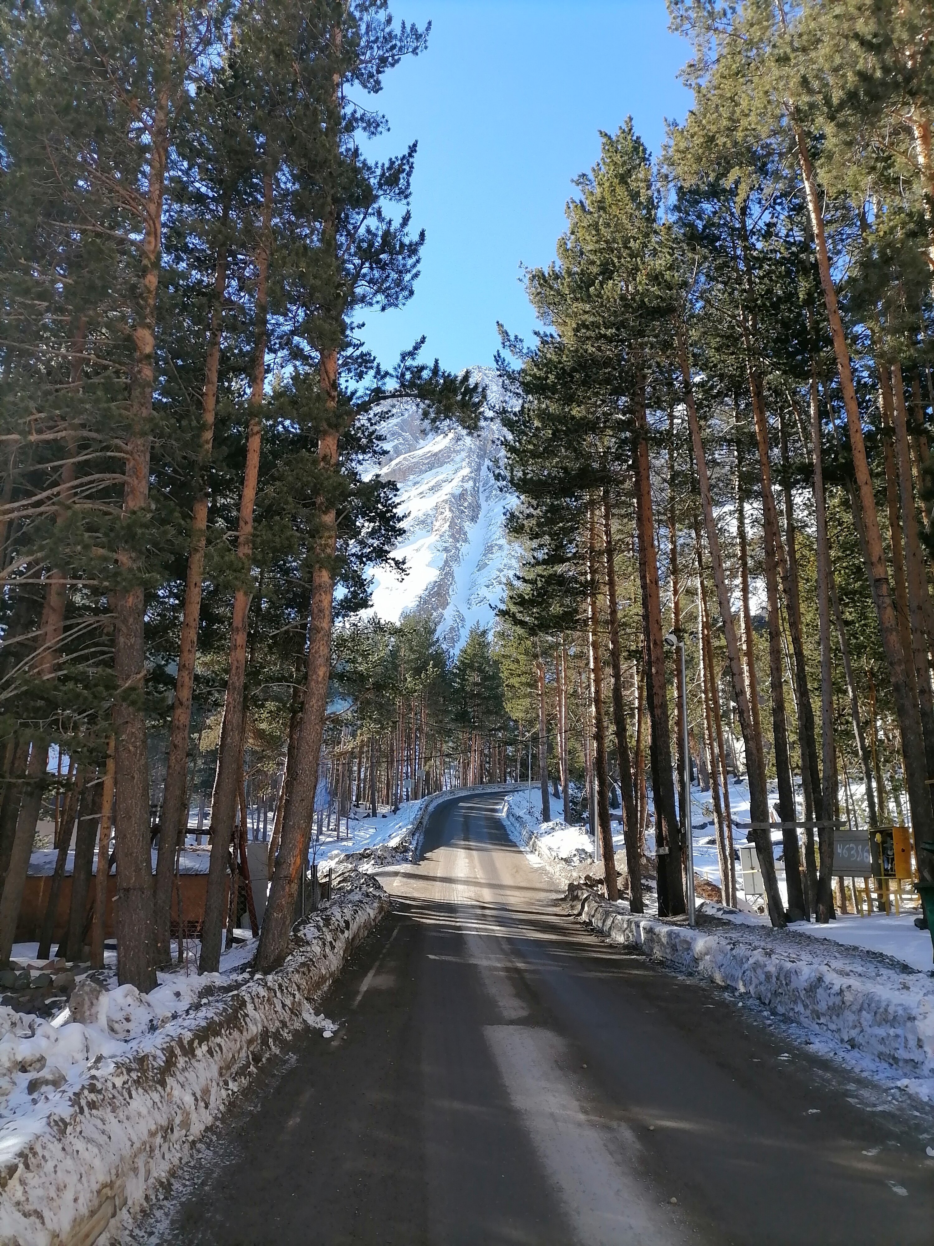 Фото Альпина