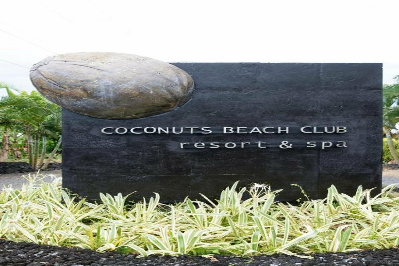 Фото Coconuts Beach Club Resort & SPA