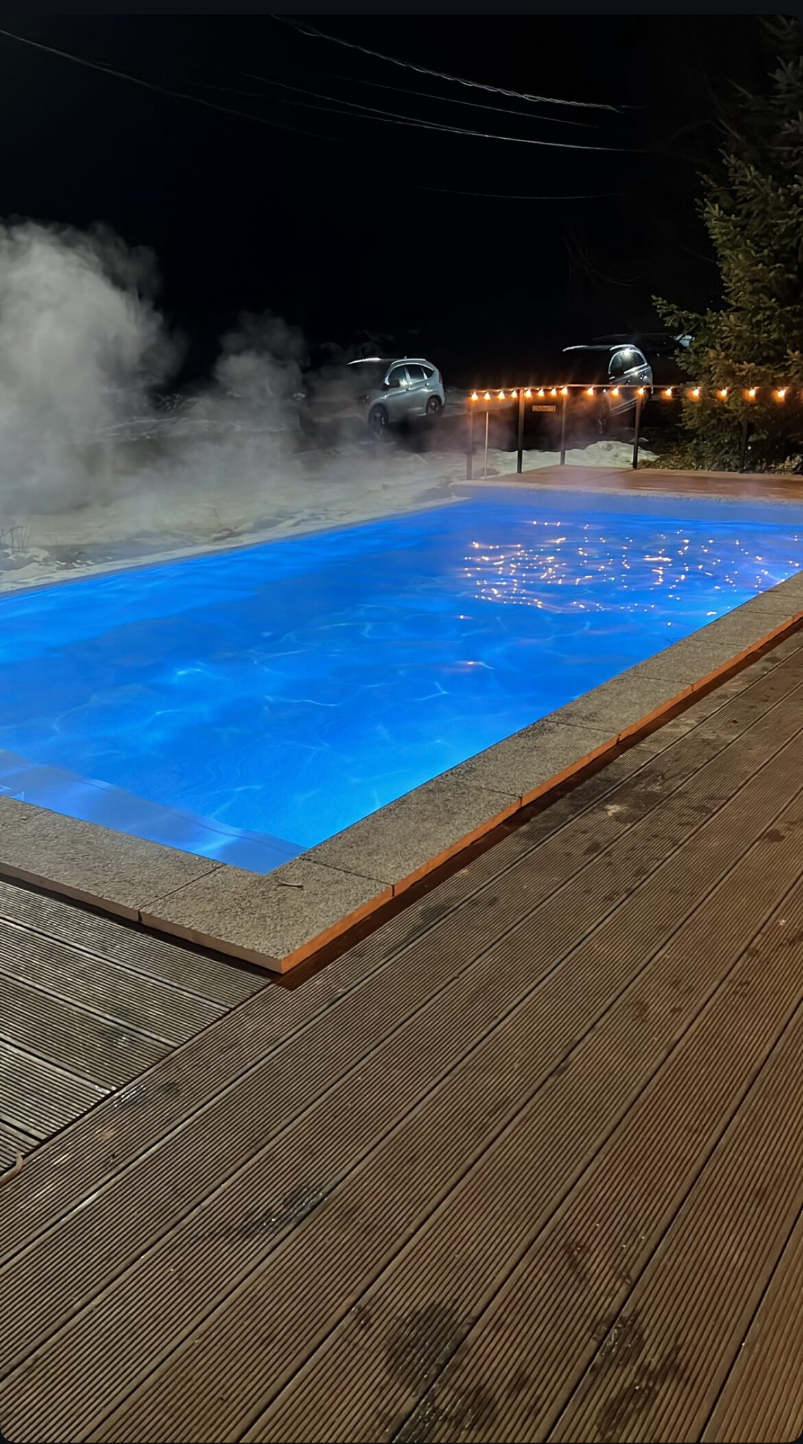 Фото Forest House Resort