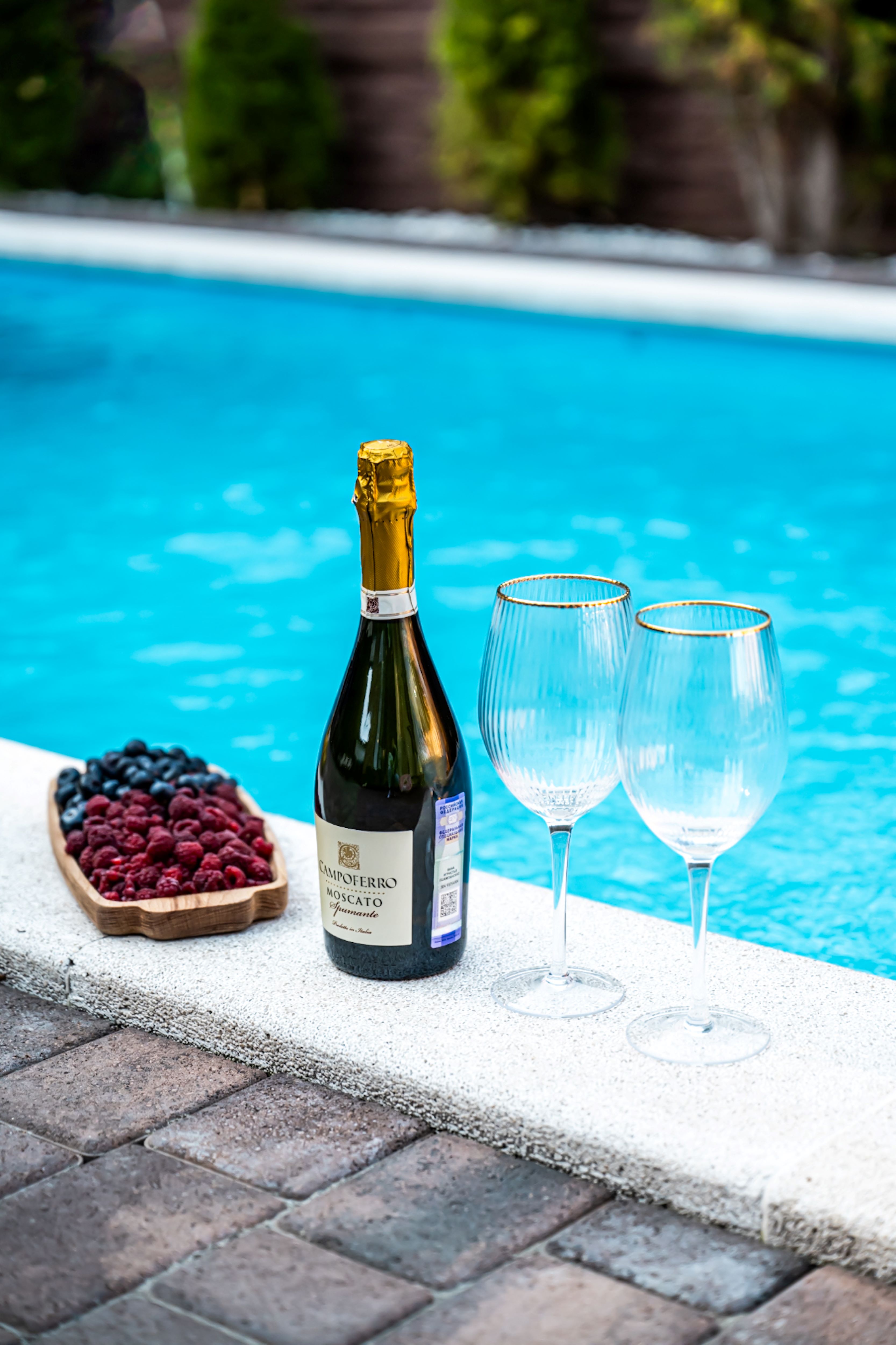 Фото Green forest