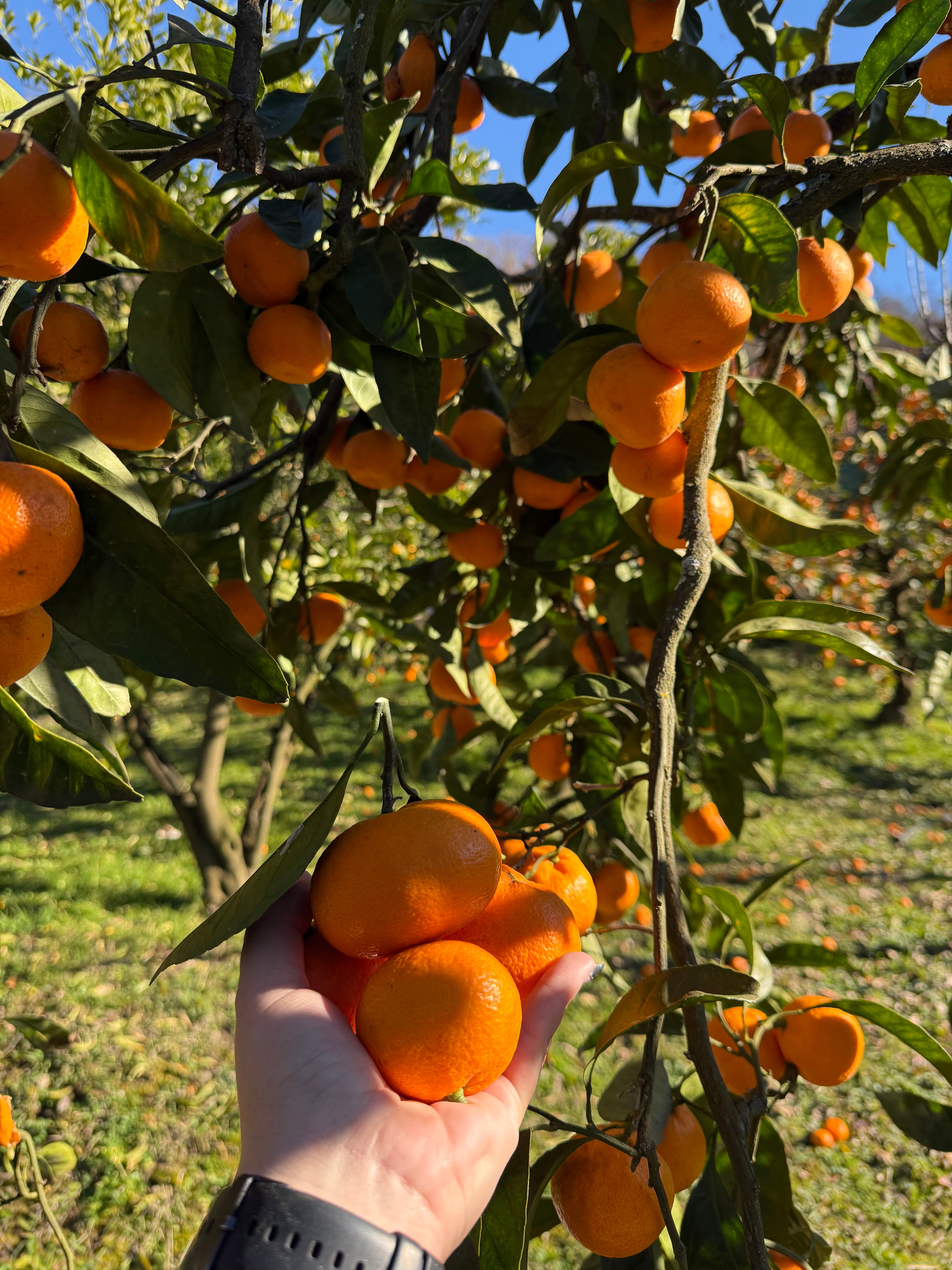 Фото КрутоТут