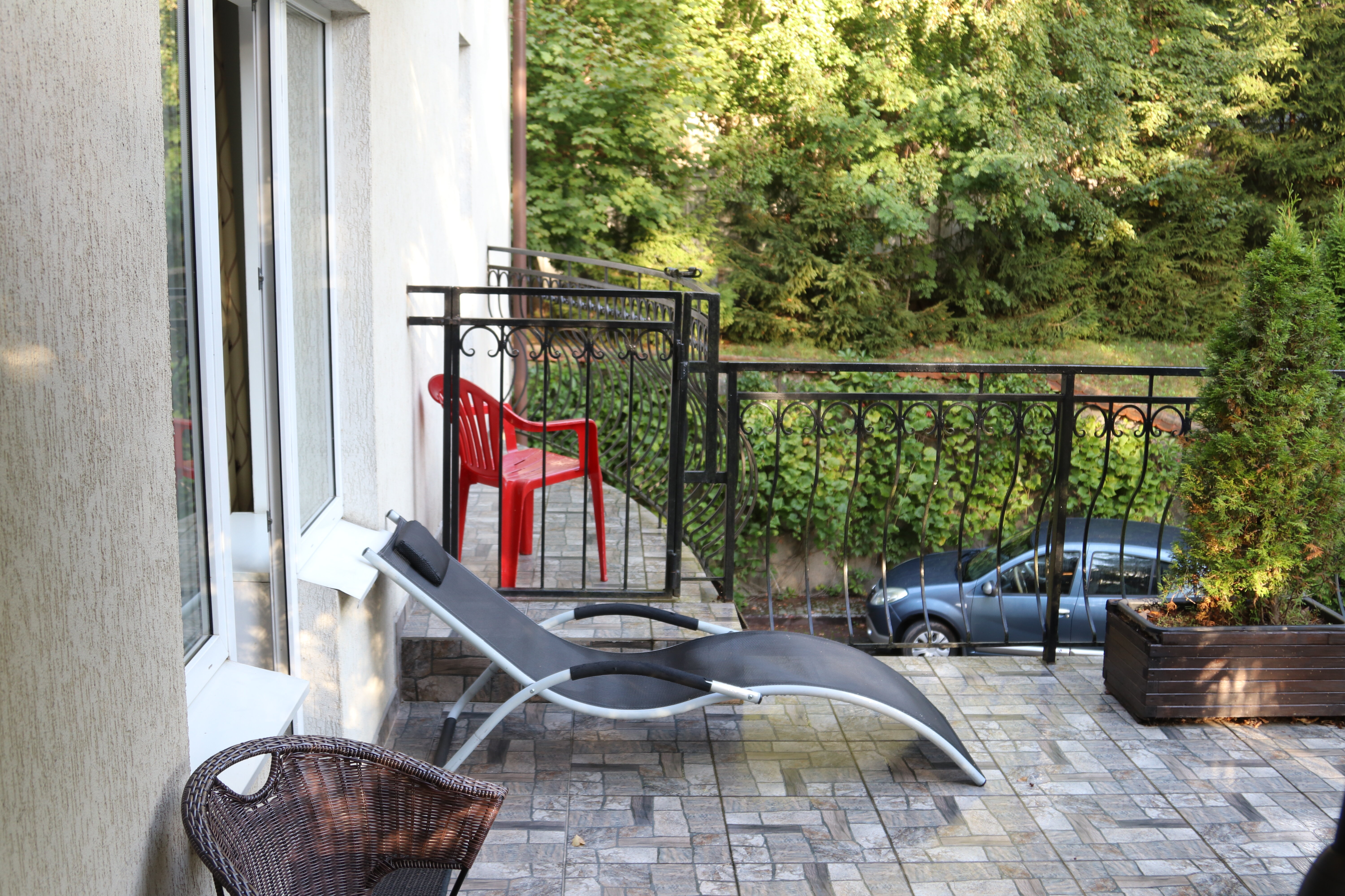 Фото Фламинго