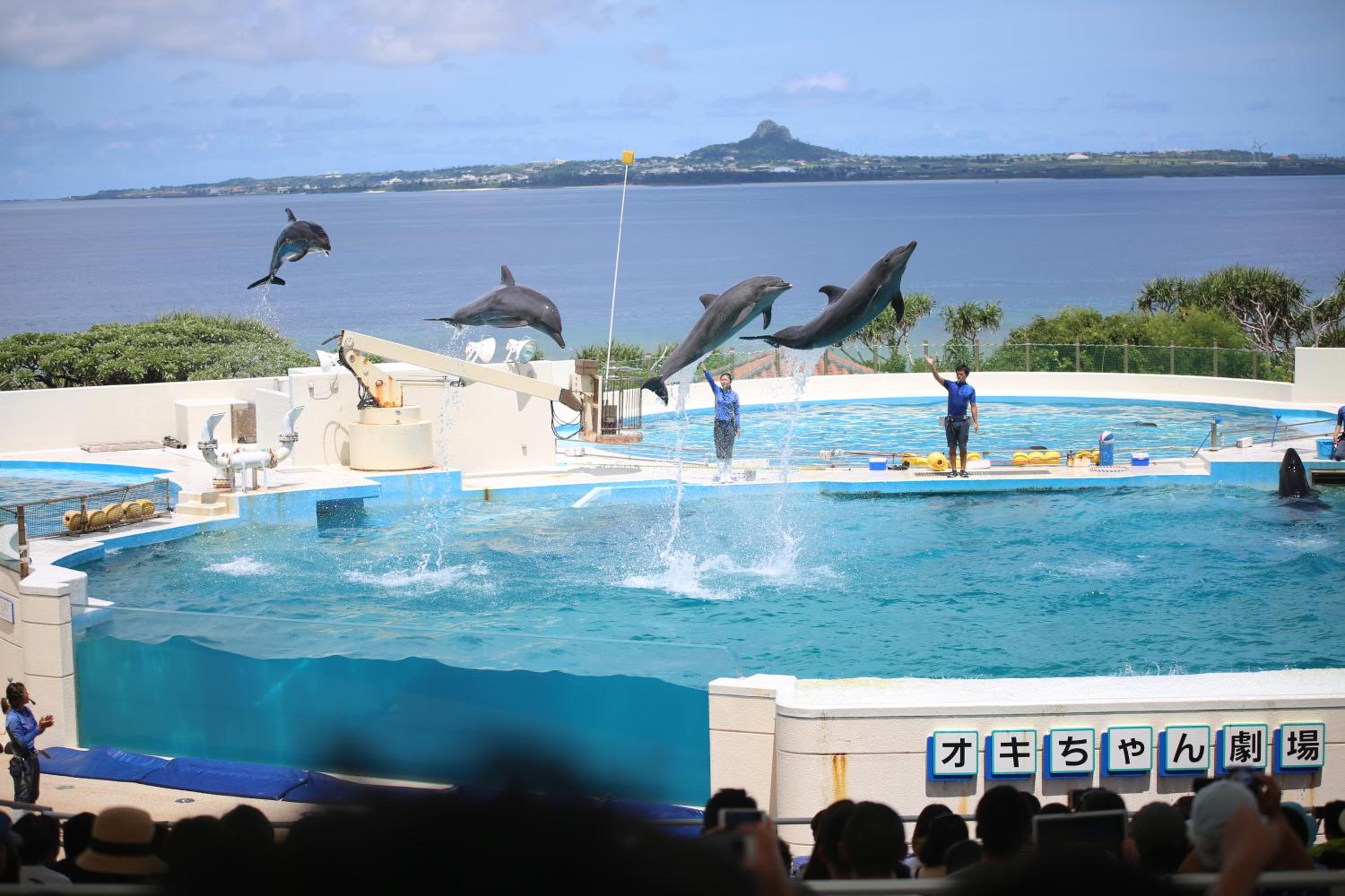 Фото Kariyushi Condominium Resort Onna Maeda Base