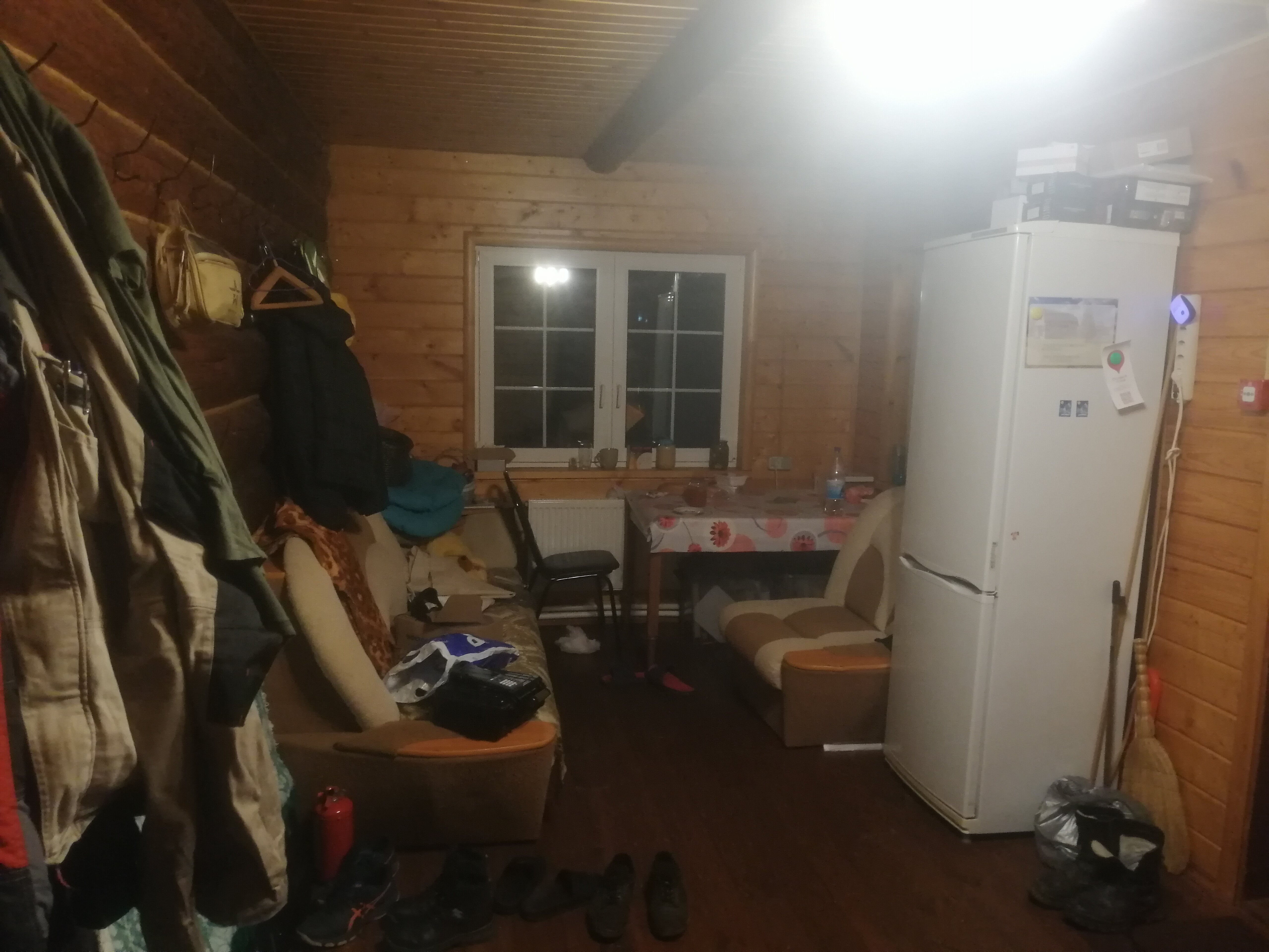 Фото Морошка