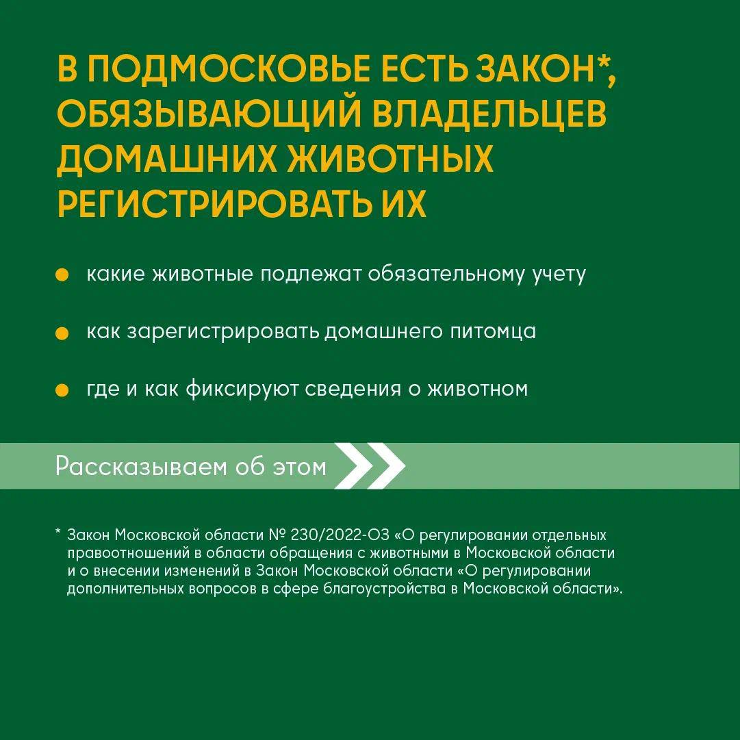 Химкинская ветеринарная станция - фото 4
