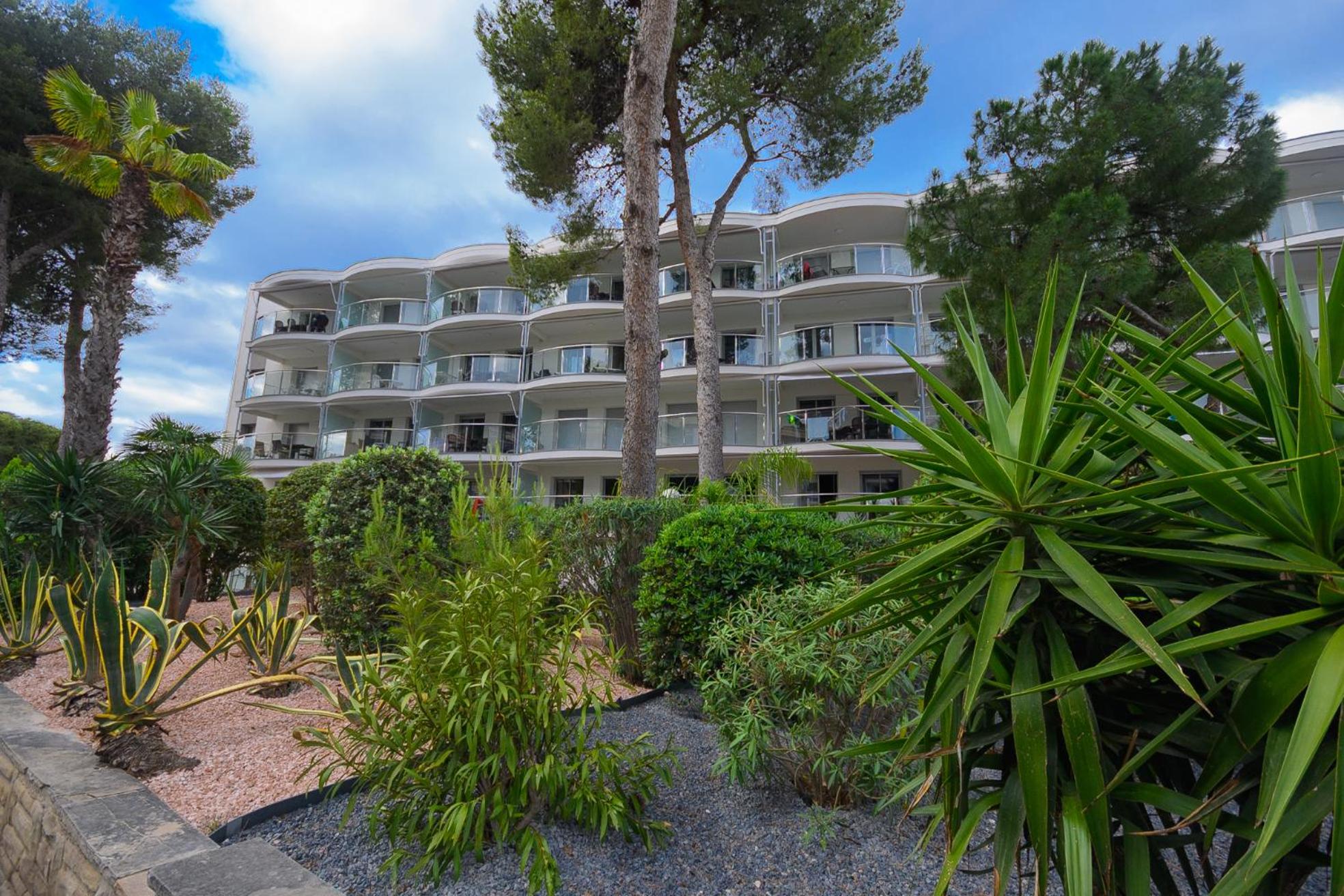 Фото Albatros Family