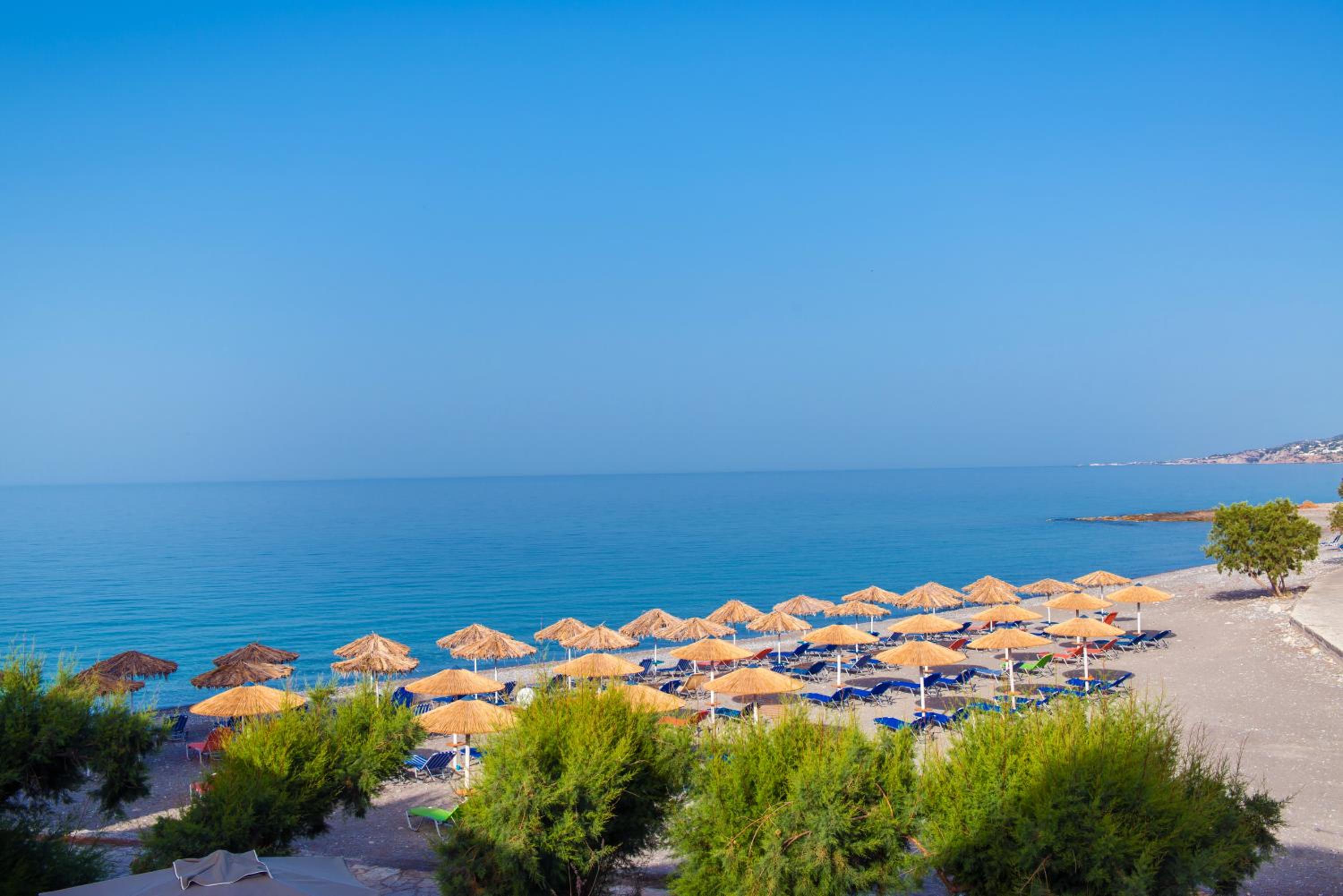 Фото South Coast Hotel