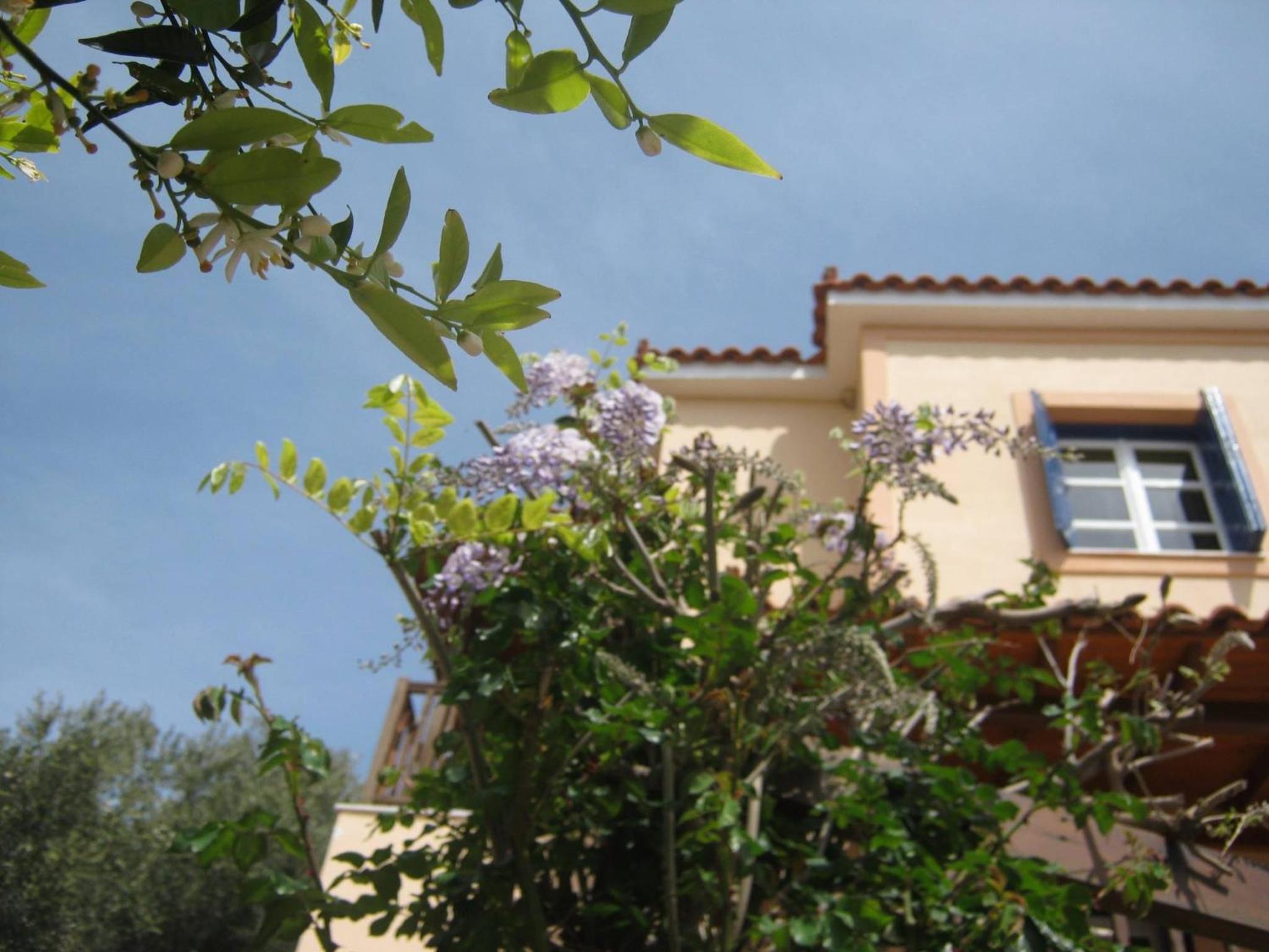 Фото Panorama Villas