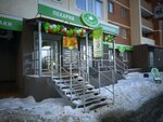 Och. Vkusno Halal (Samara, 5-ya proseka, 123), frozen food products