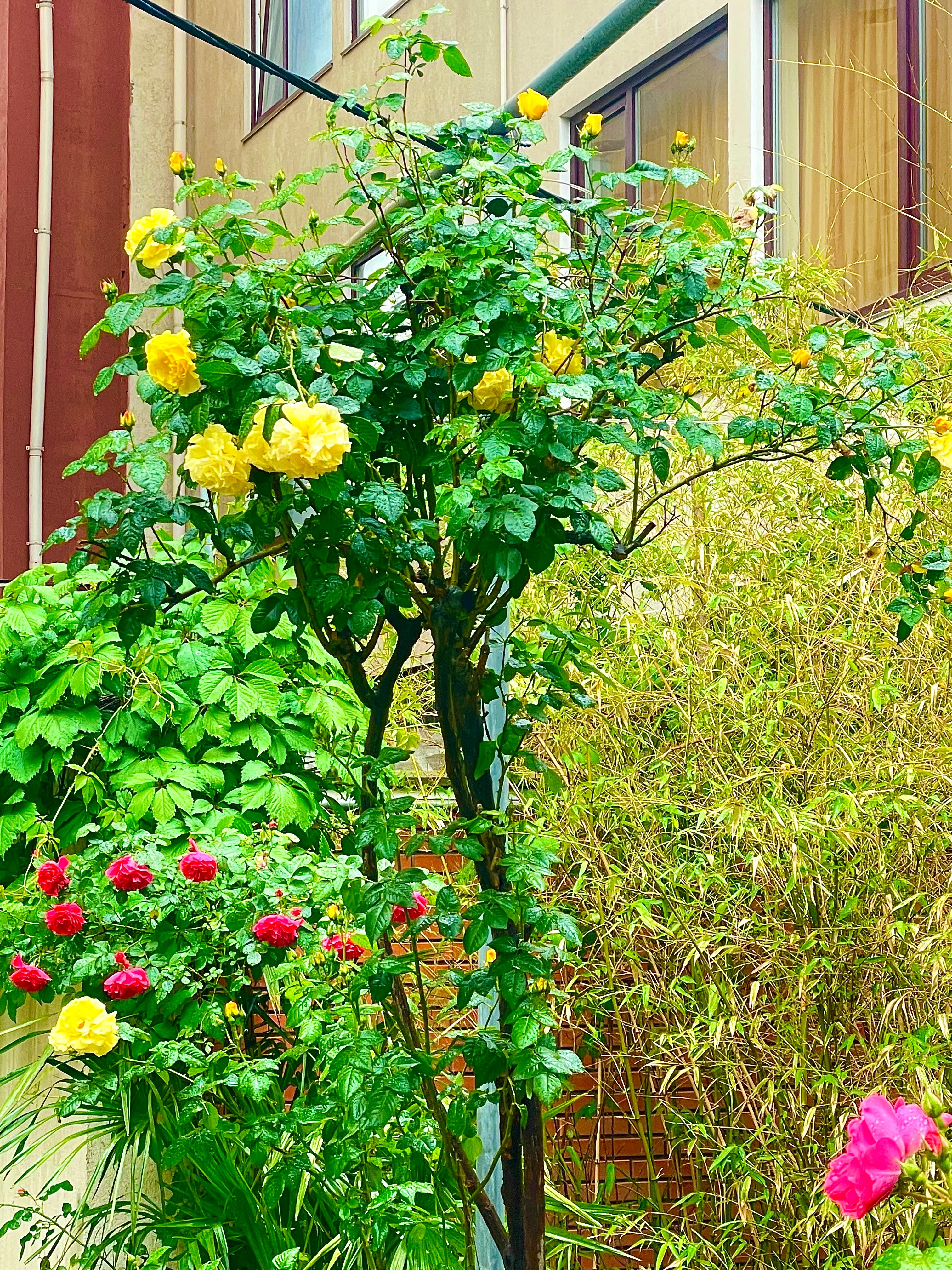 Фото На Волне