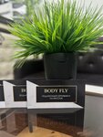 Body Fly (Semashko Lane, 44), massage salon