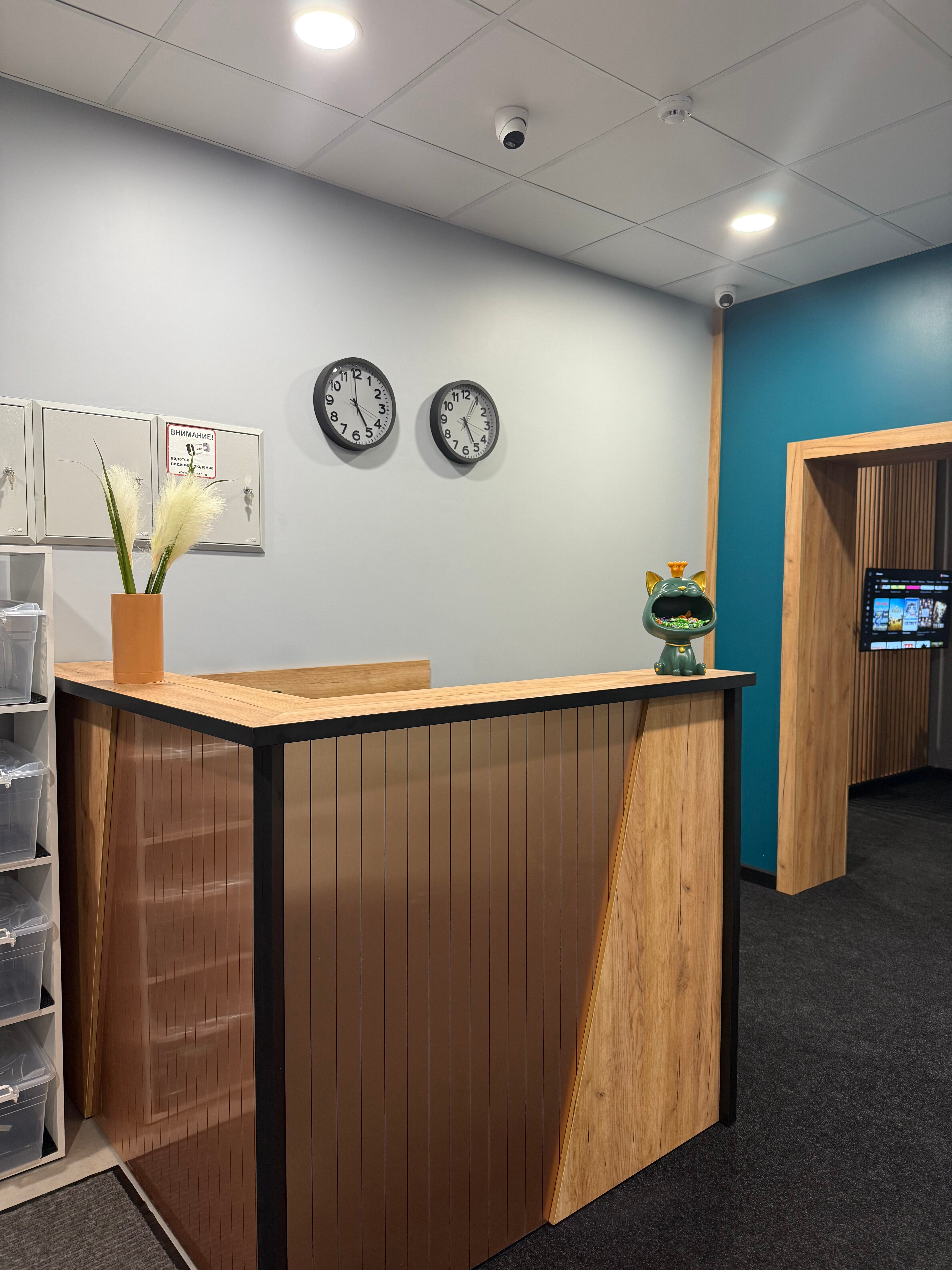 Фото Редиска