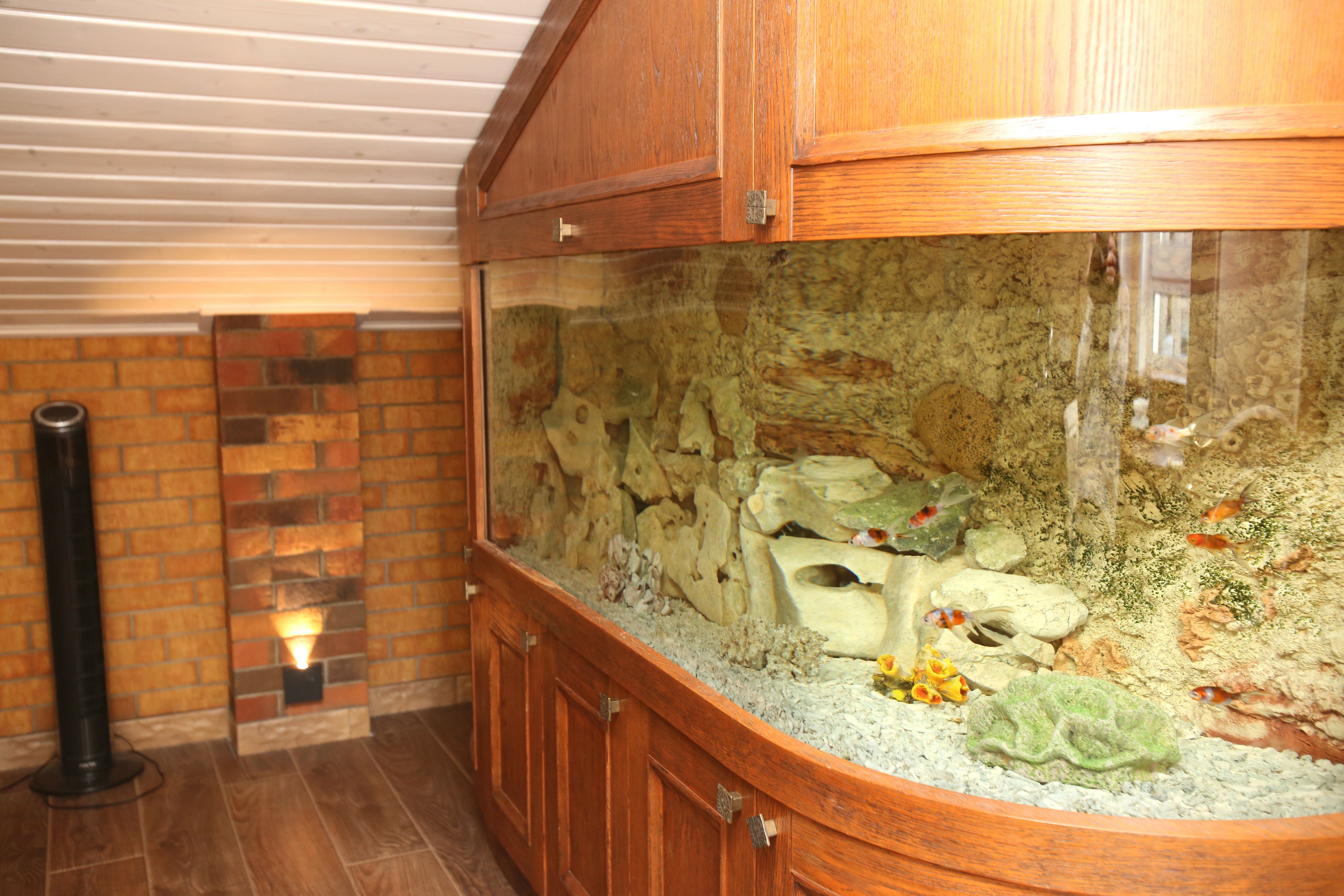 Фото Апартаменты Nevsky 5