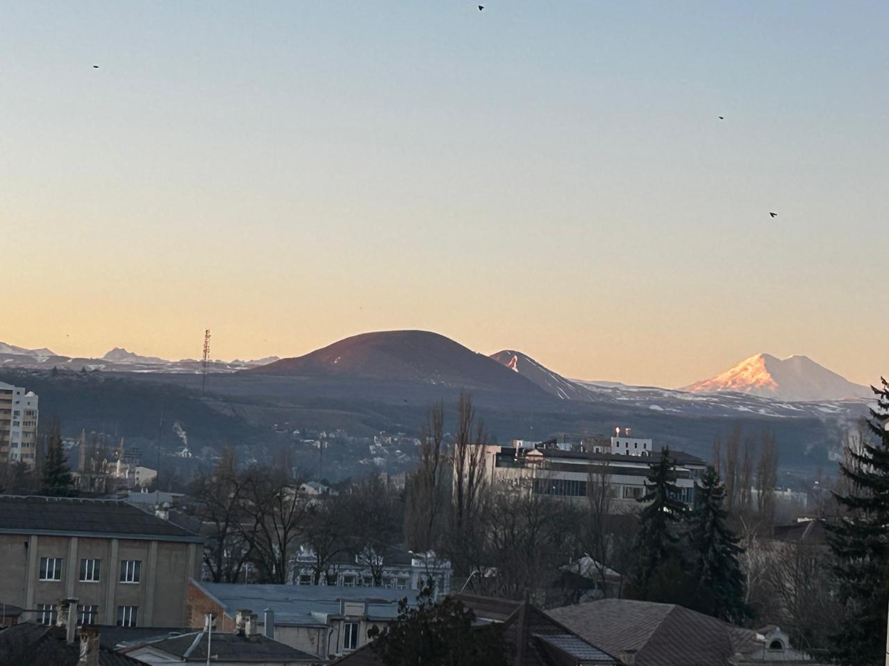 Фото Оливия