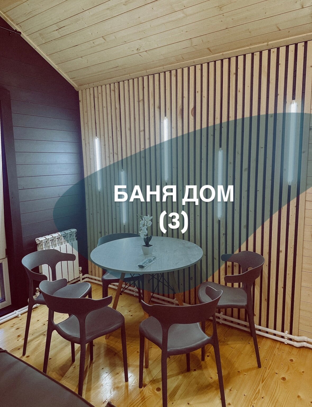 Фото Дружба