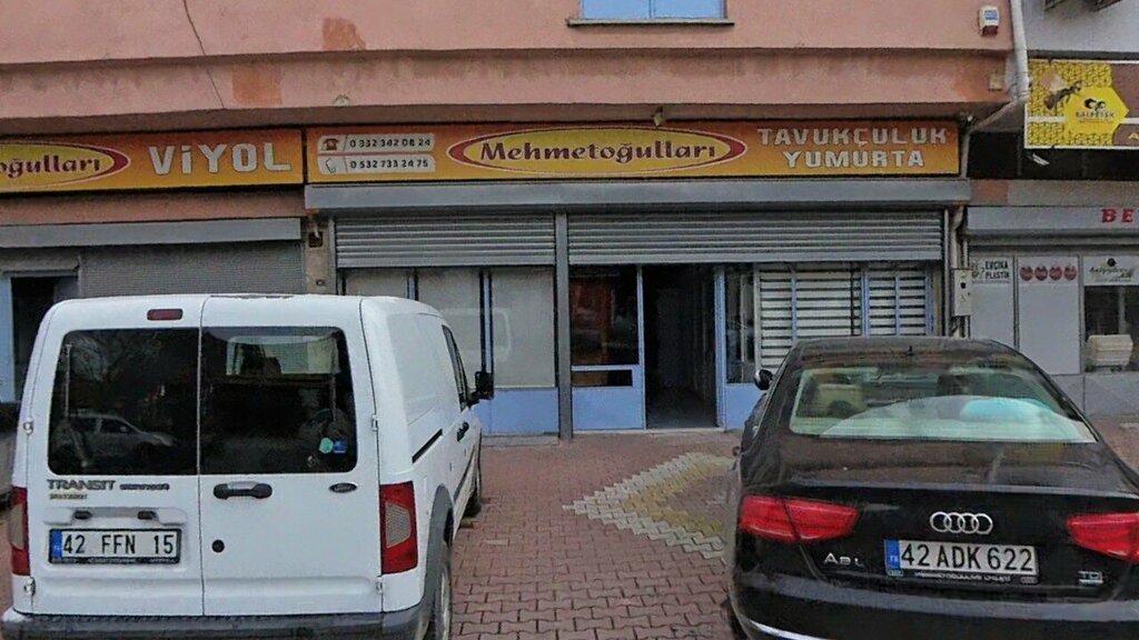 Egg and poultry meat Mehmetogullari Poultry Egg, Konya, photo