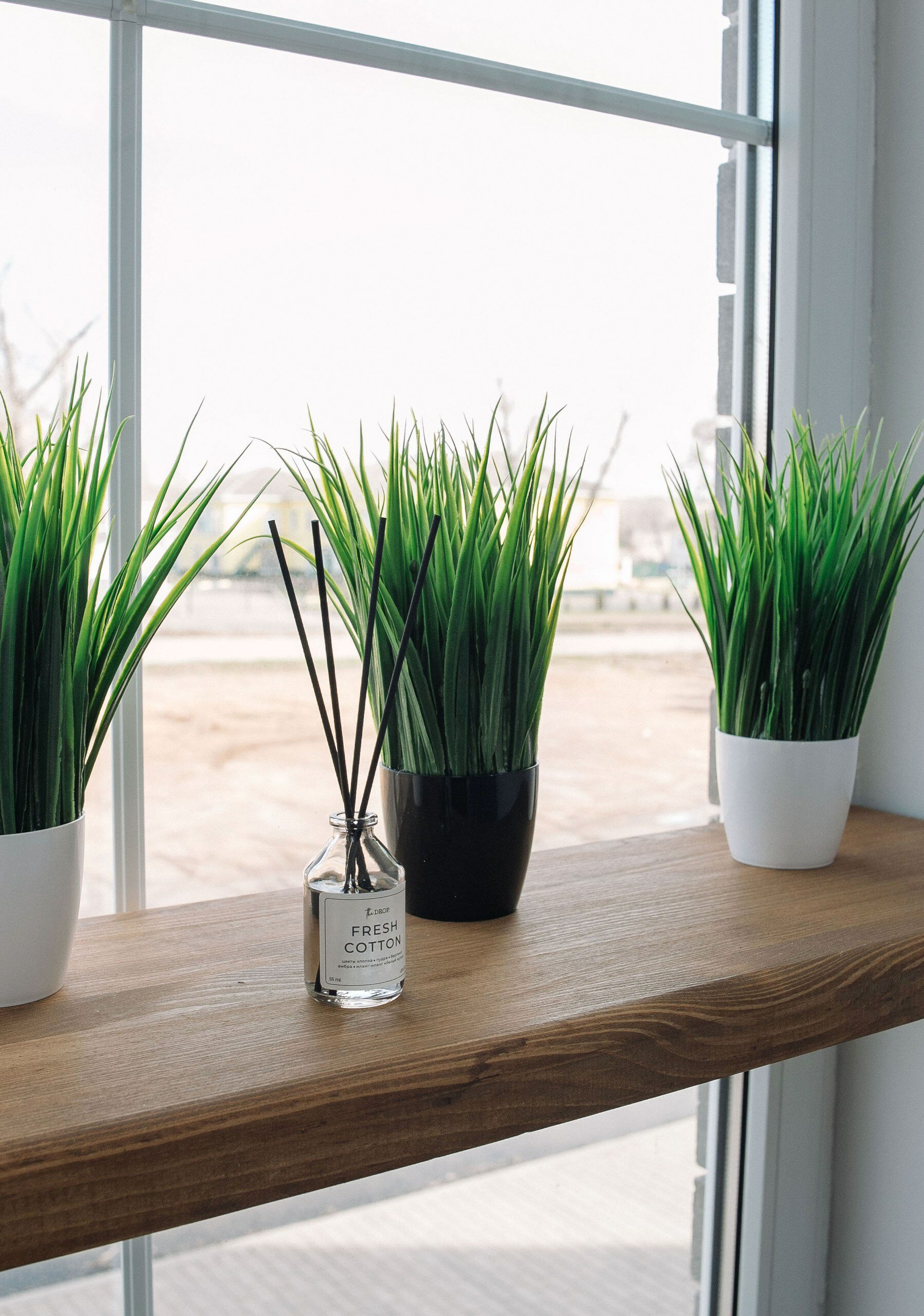 Фото Авангард