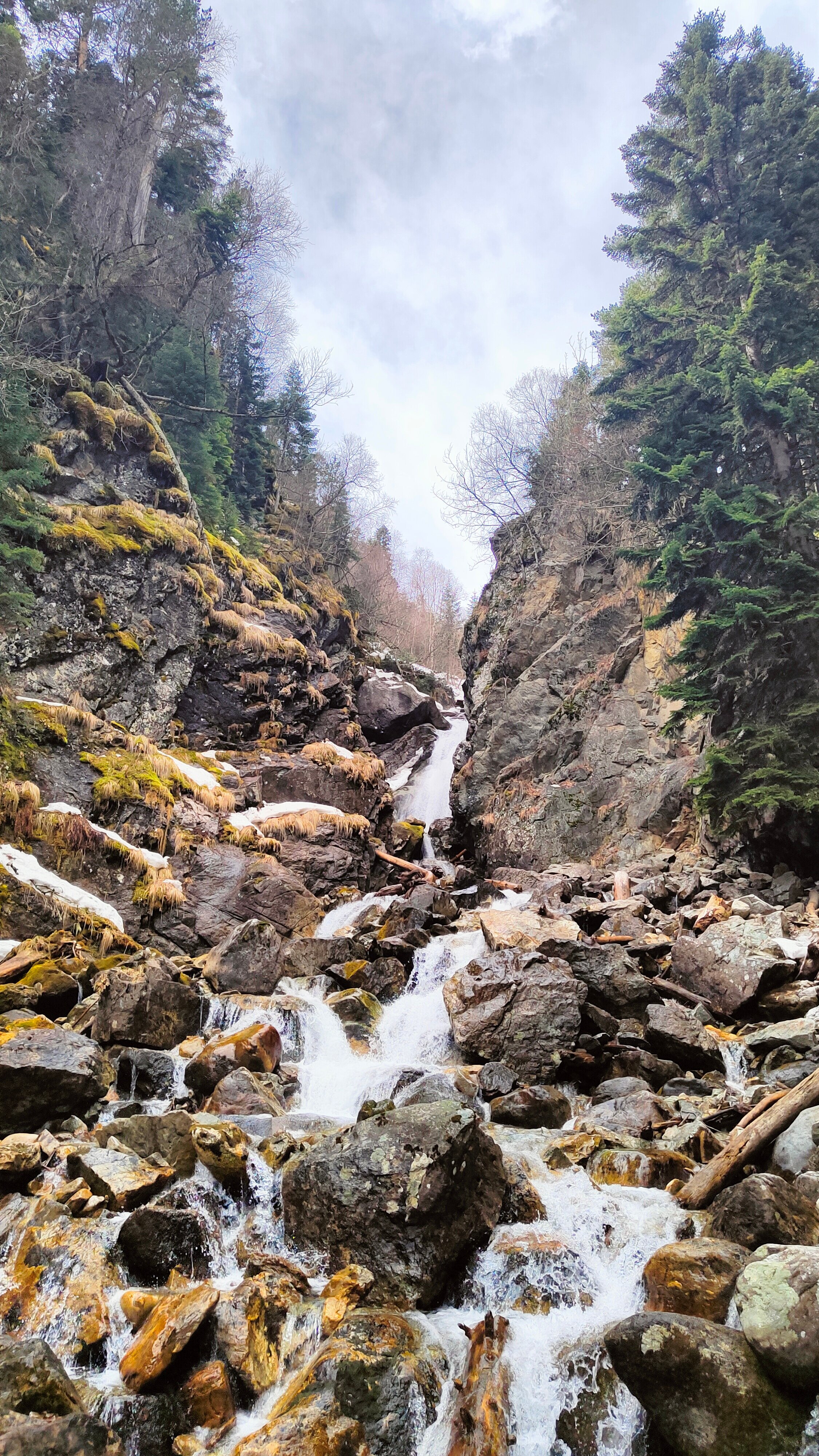 Фото Алибаба