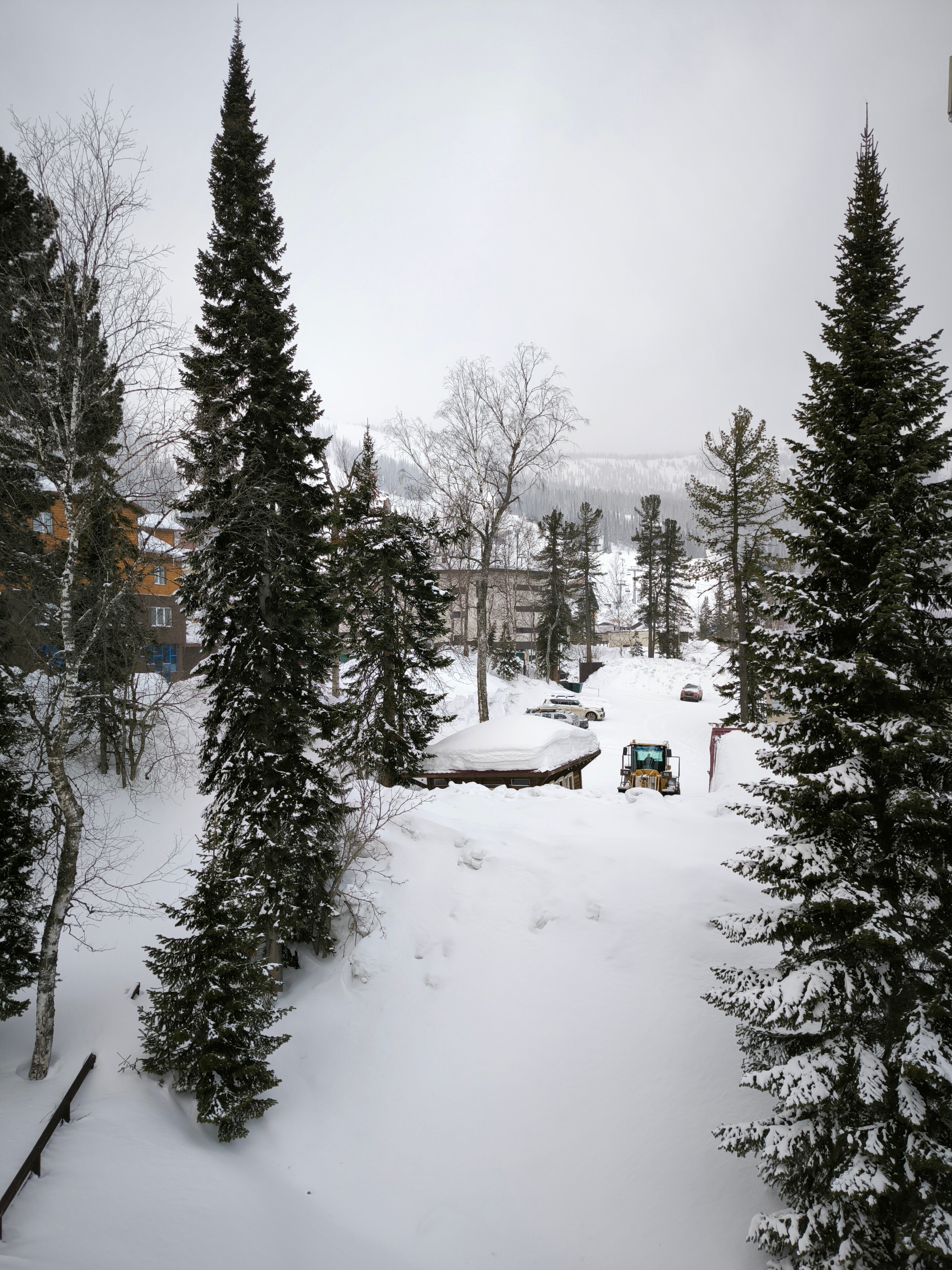 Фото Политех