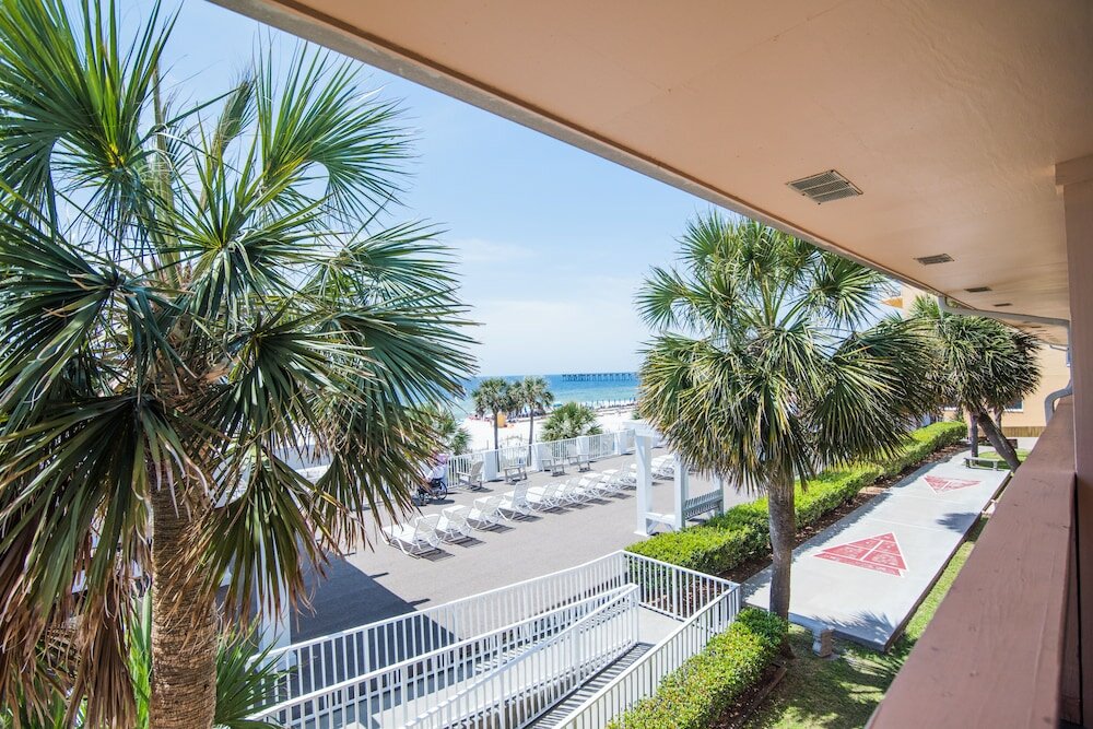 Фото Osprey on the Gulf