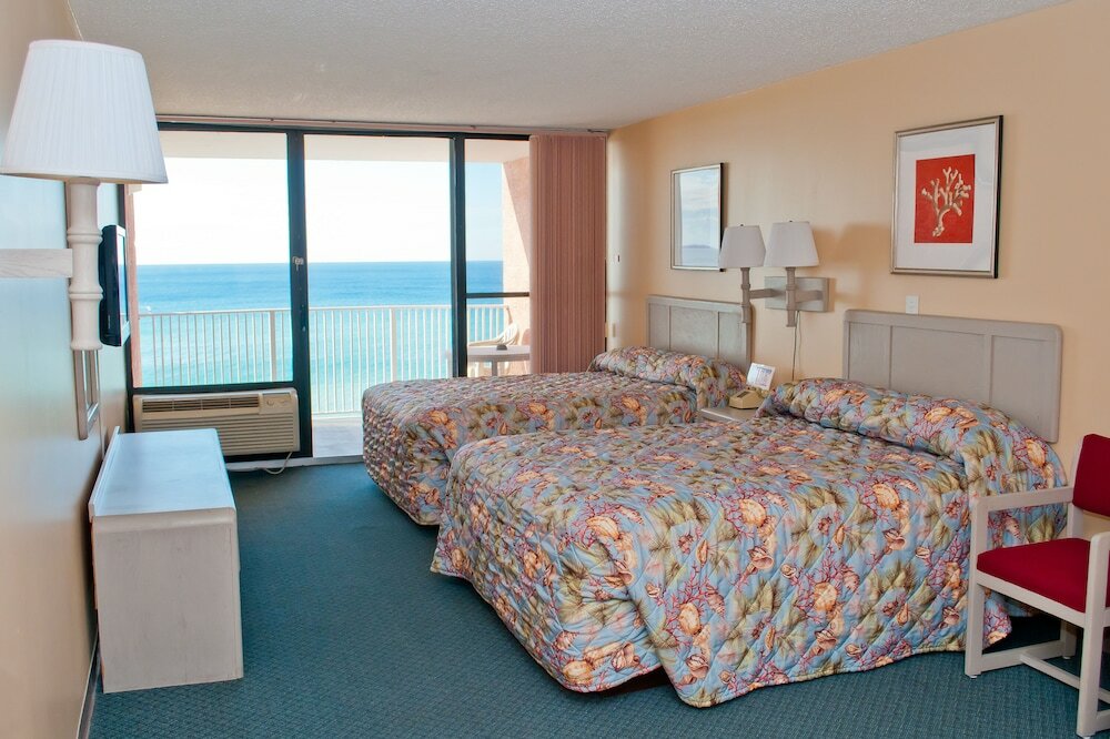 Фото Osprey on the Gulf