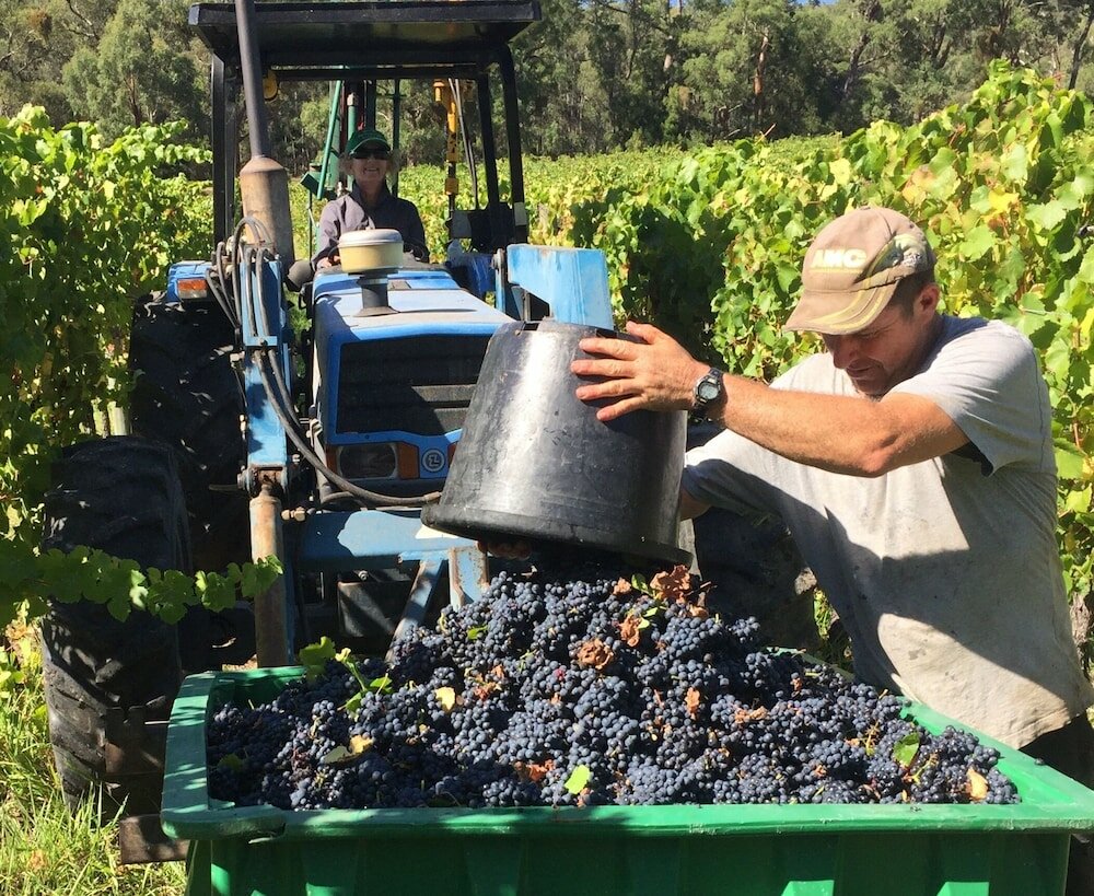 Фото Valley Farm Vineyard Cottages