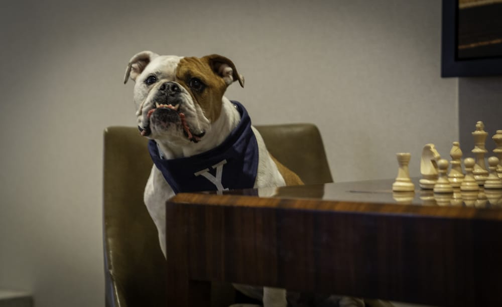 Фото New Haven Hotel