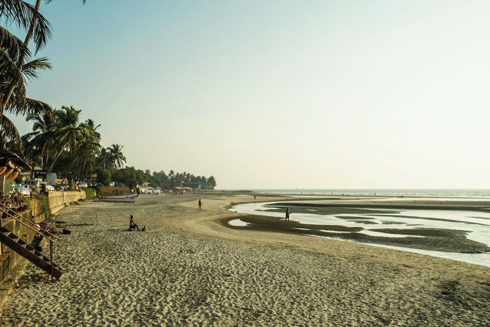 Фото Jolene's Ashvem