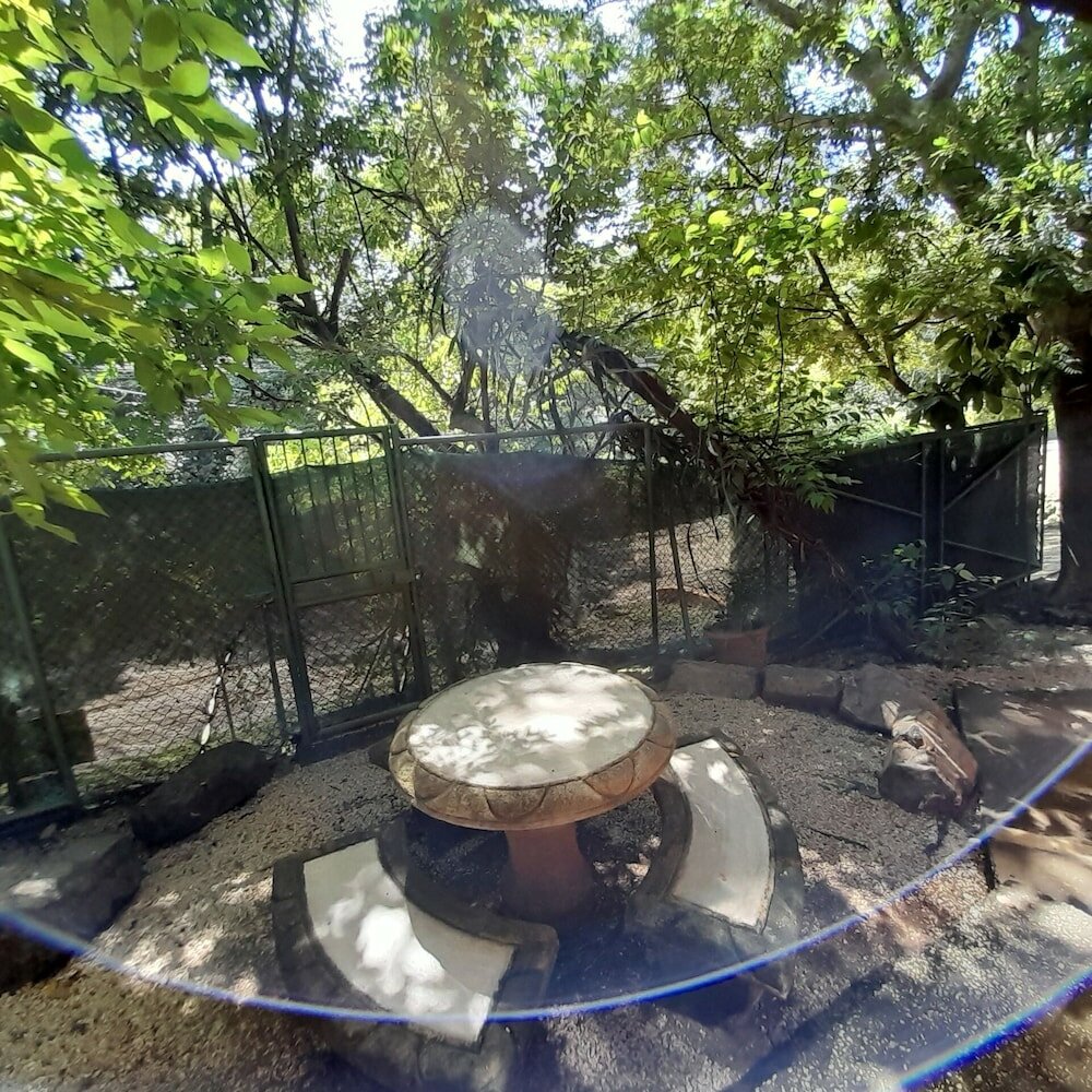 Фото Hotel Cabinas La Playa