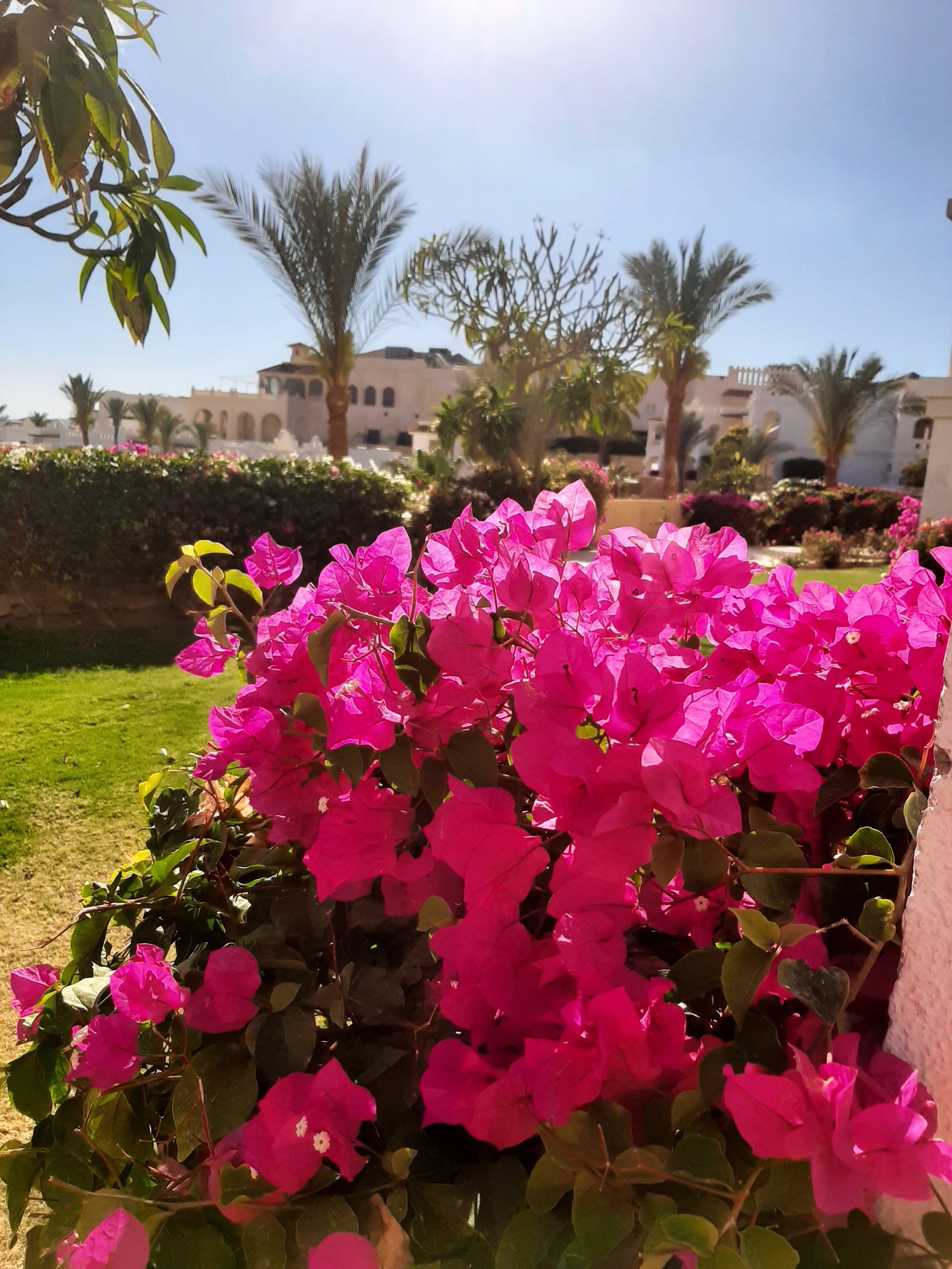 Фото Continental Plaza beach Resort