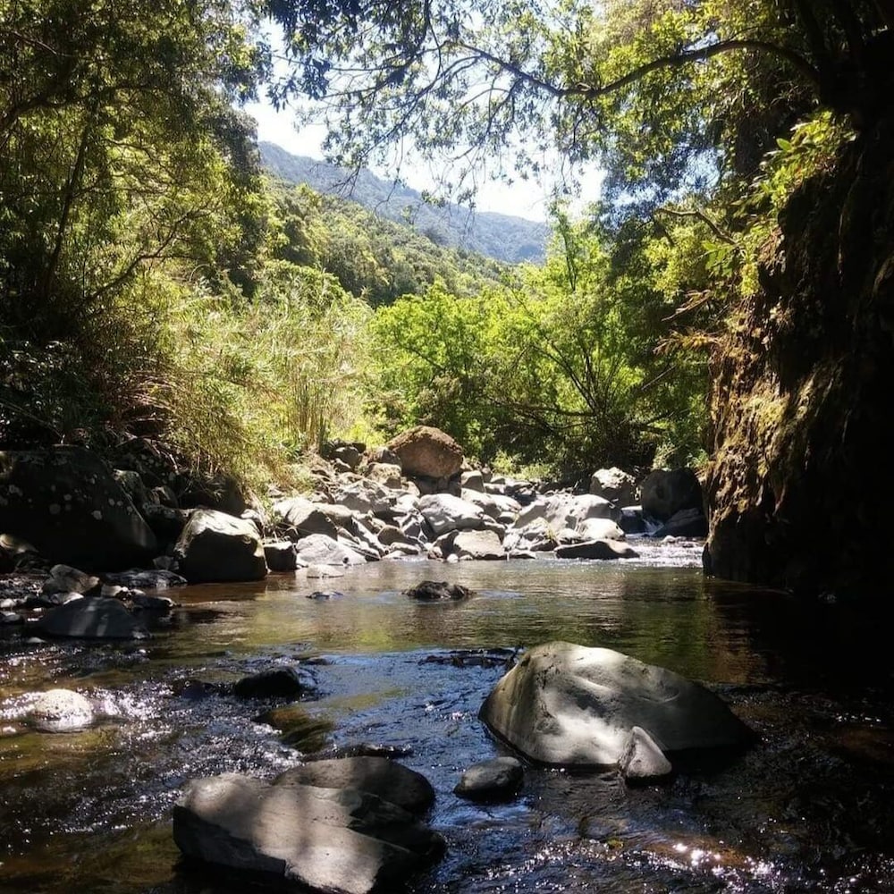 Фото Terrabona Nature & Vineyards