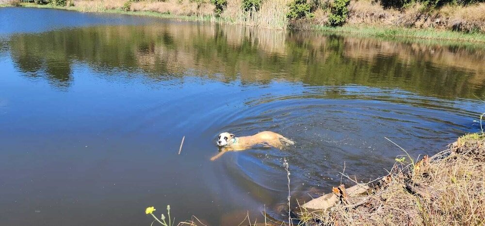 Фото Oban Historical Guest Farm