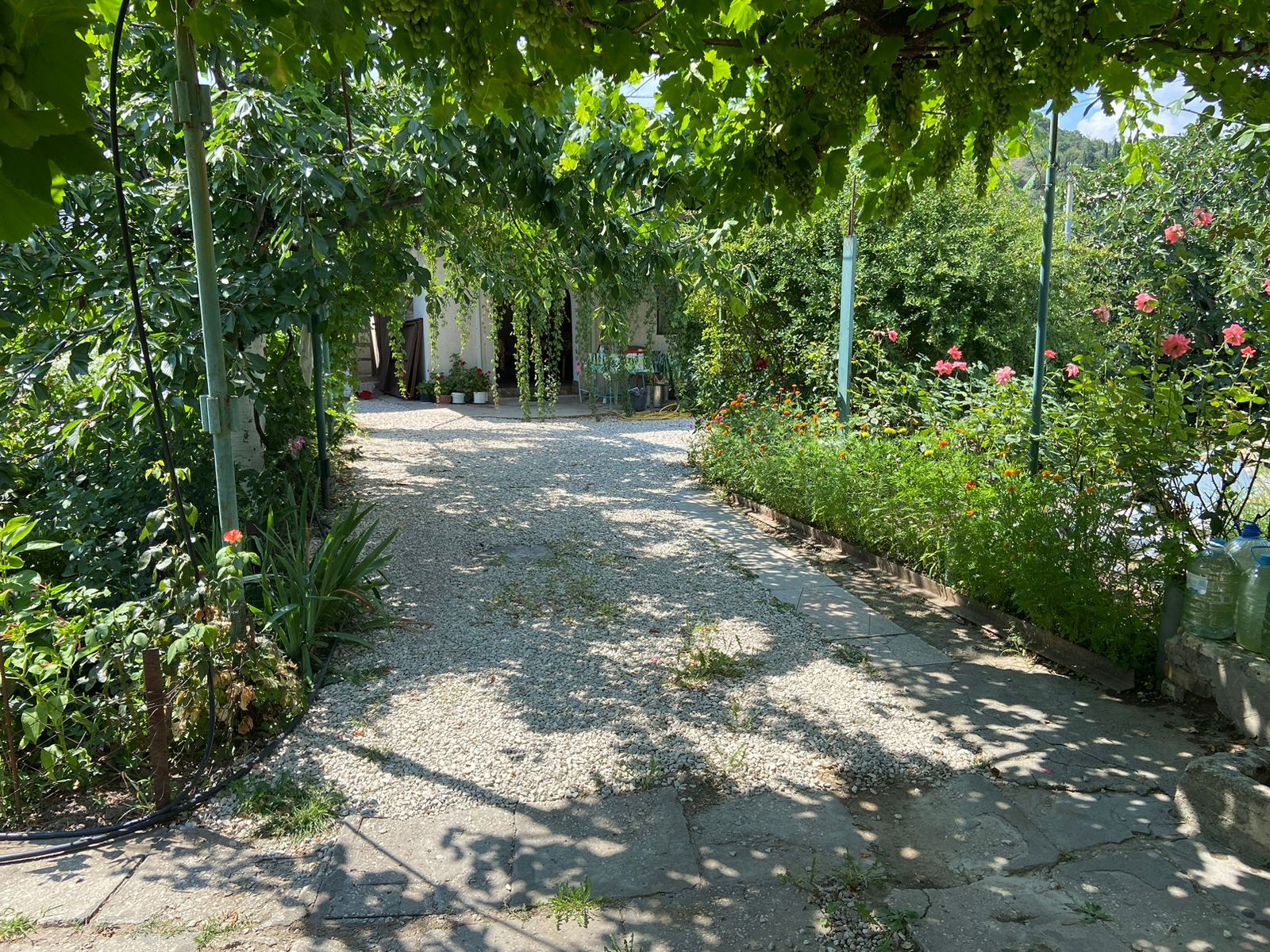 Фото На Шоссейной