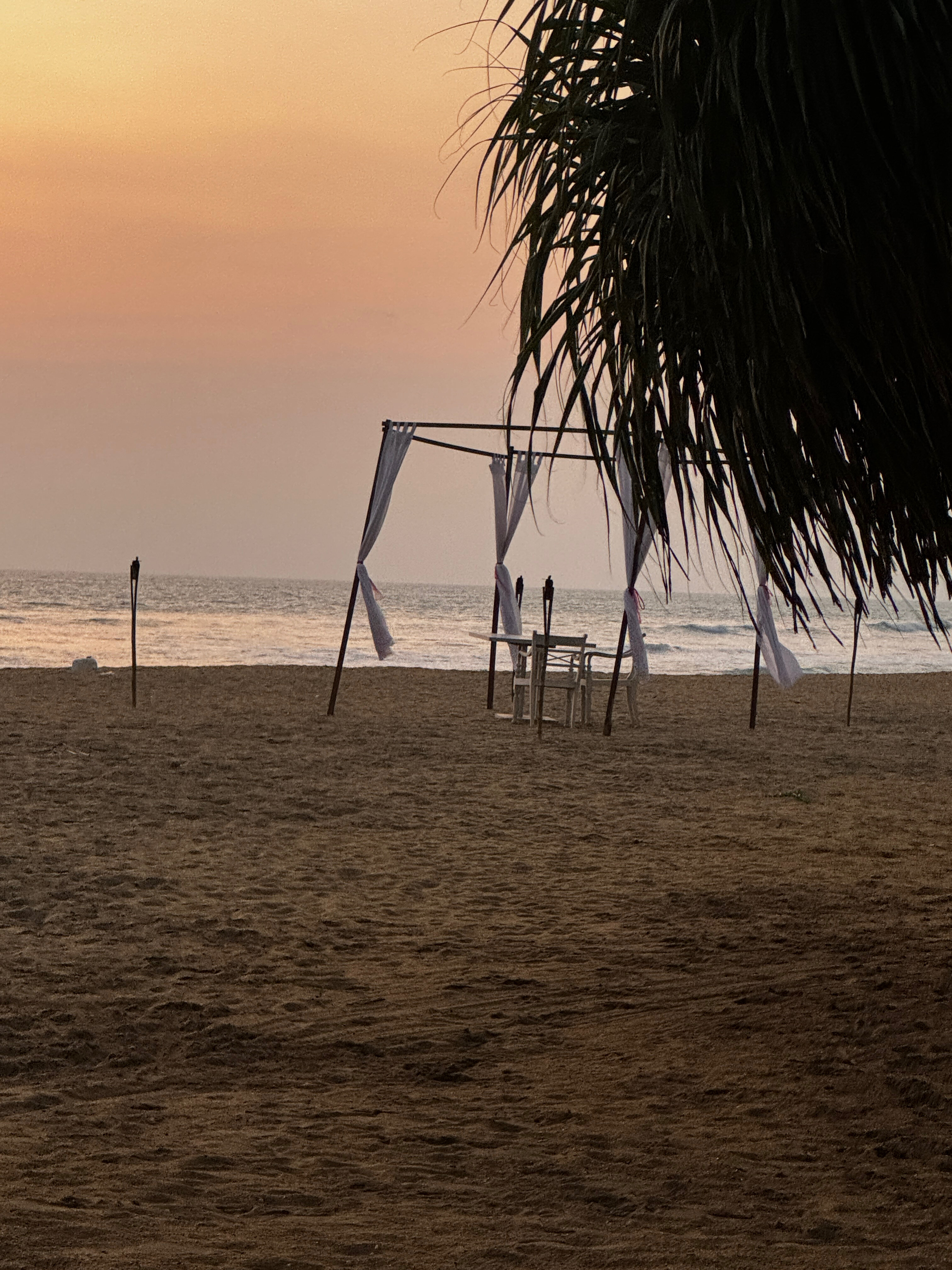 Фото Serene Pavilions