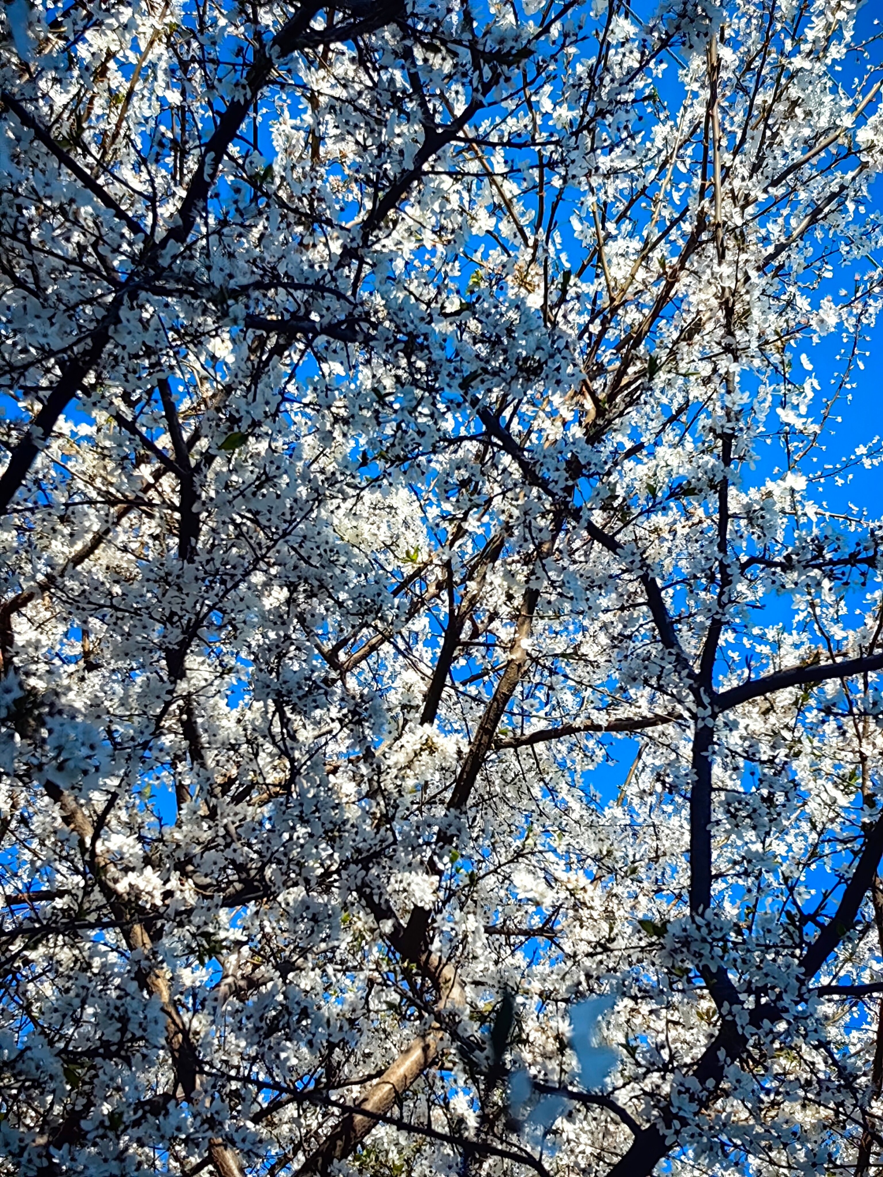 Фото Smart People