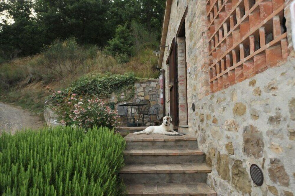 Фото Agriturismo Monte Petreto