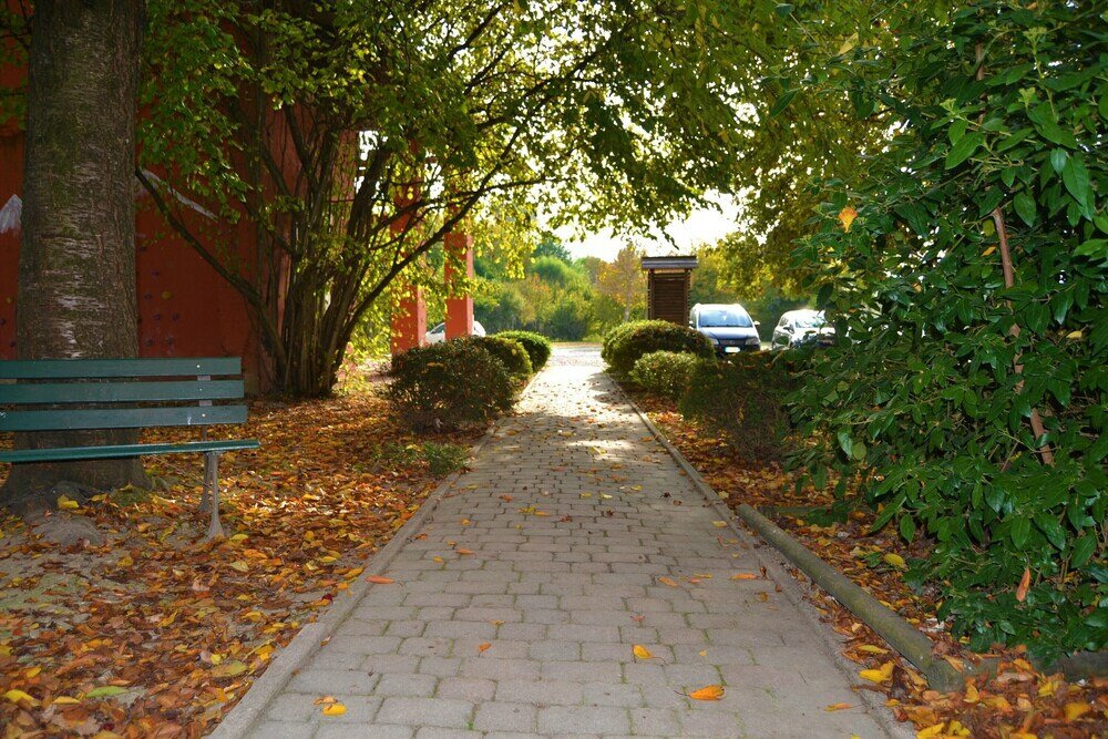 Фото Agriturismo Pra' d'Arca