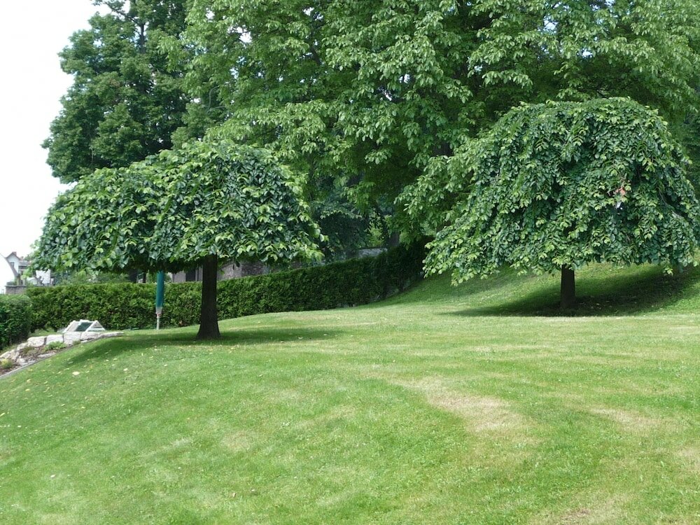 Фото Blue Pension