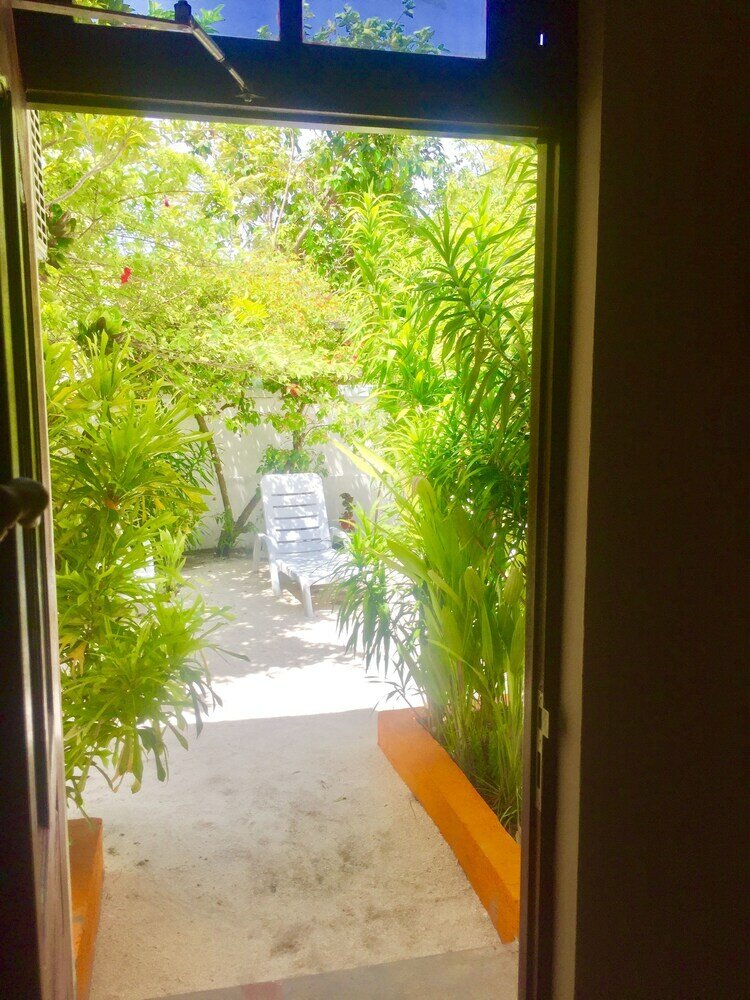 Фото Гостевой Дом Maclura Residence