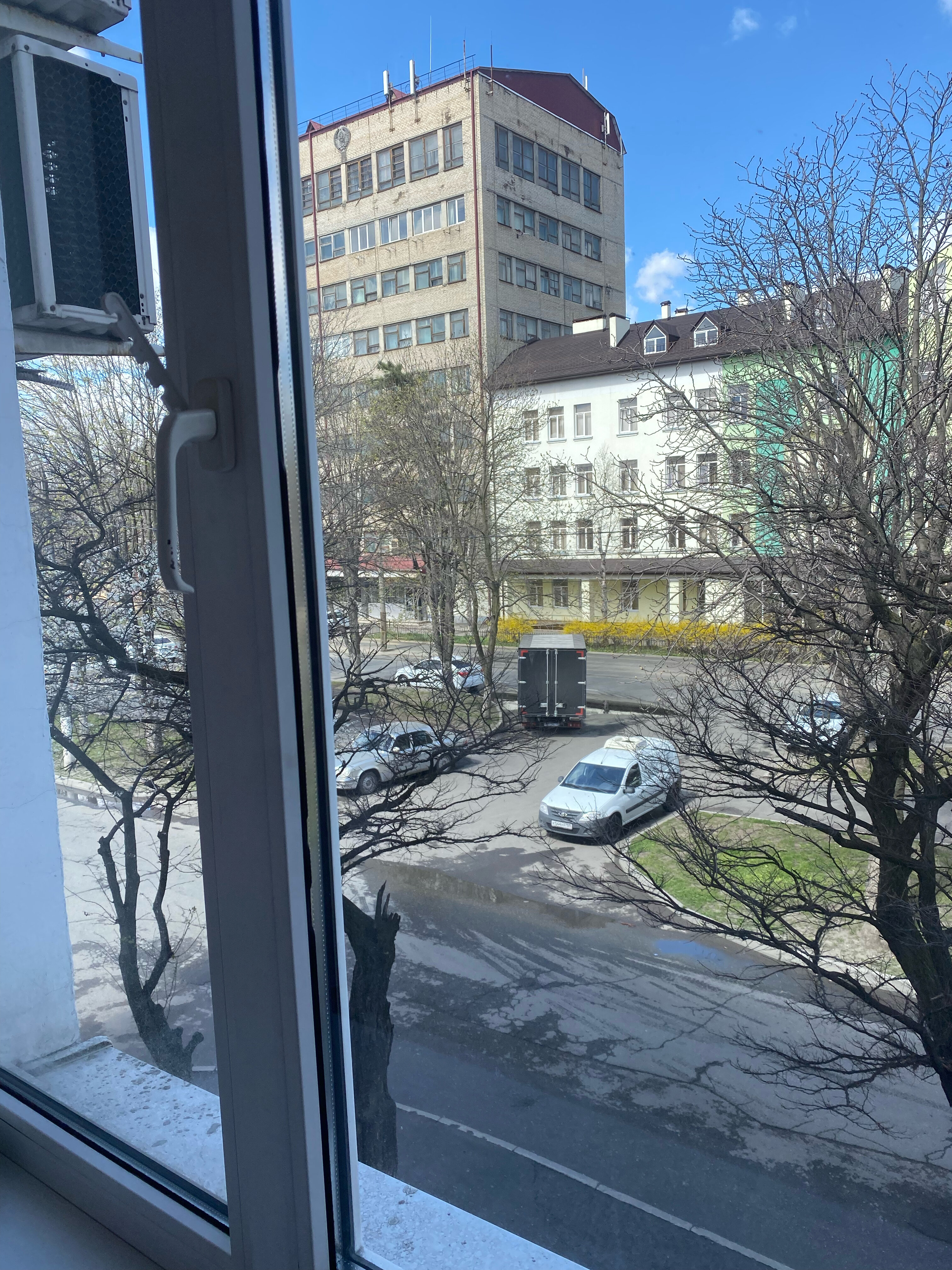 Фото Камелия-В