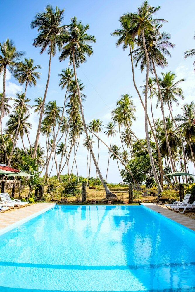 Фото Green Parrot Beach Resort