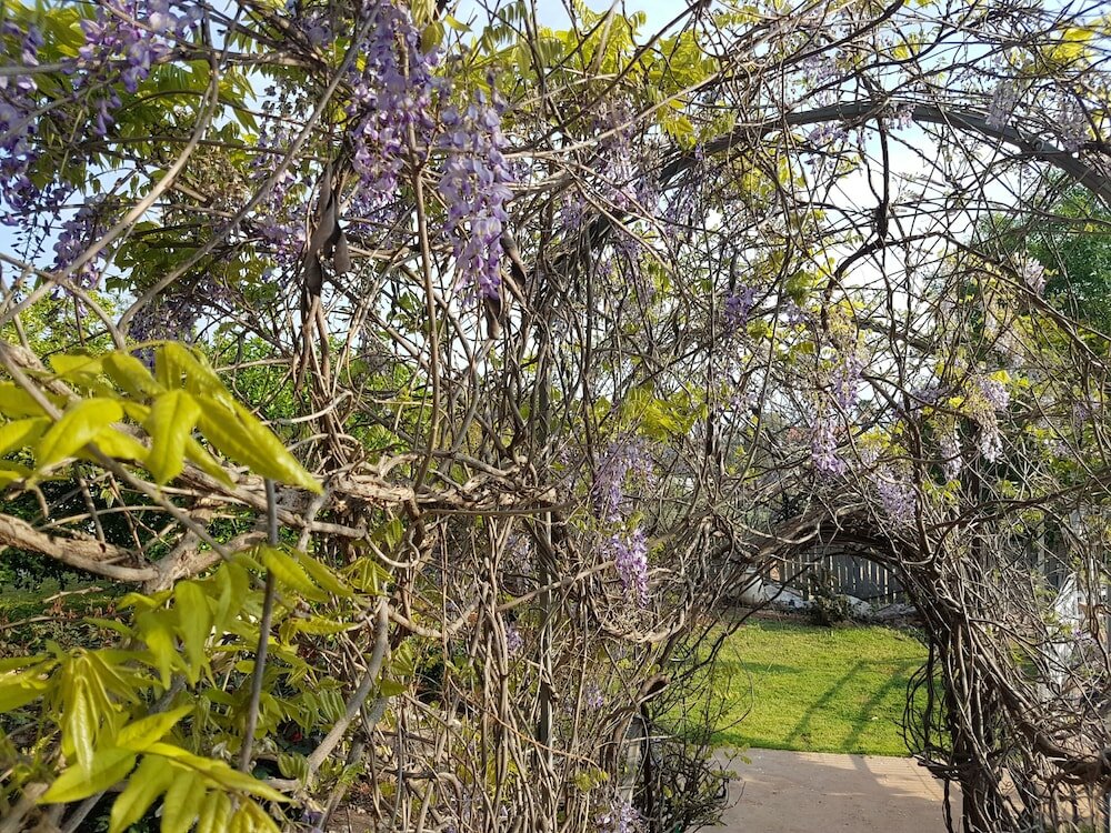 Фото Betzel Haella